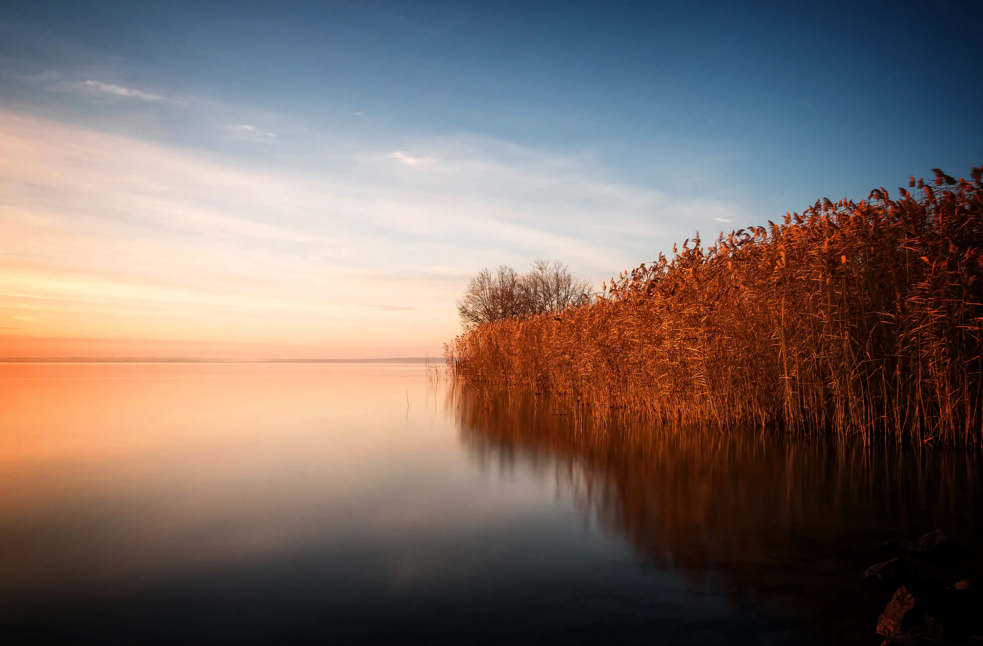 Morning landscape