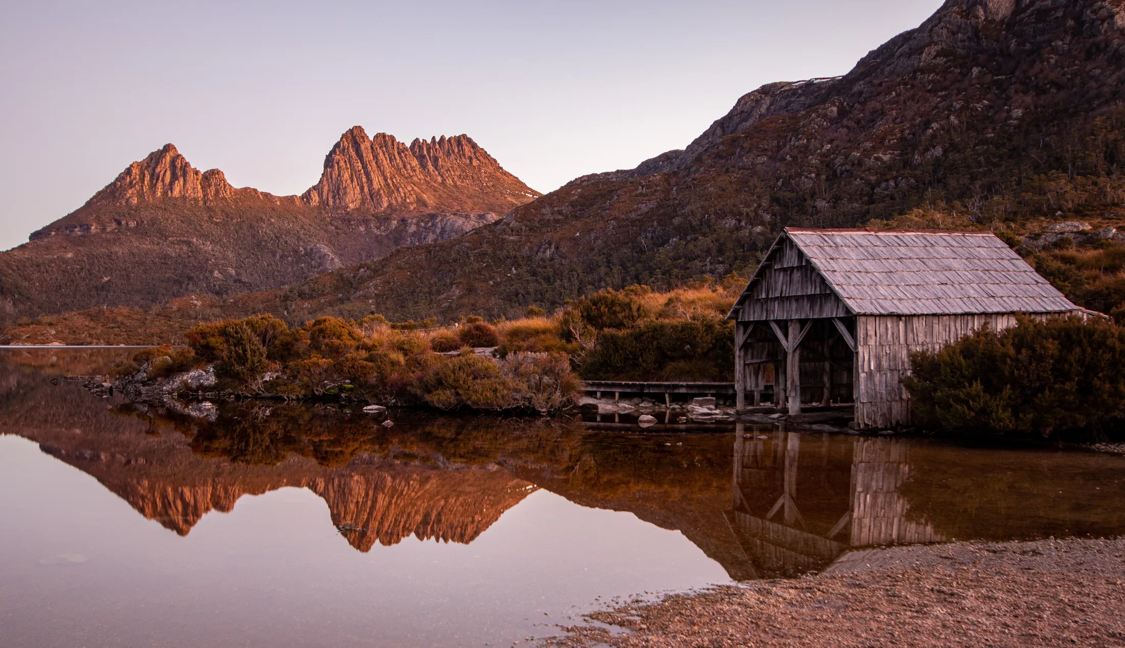 Entry 14369898