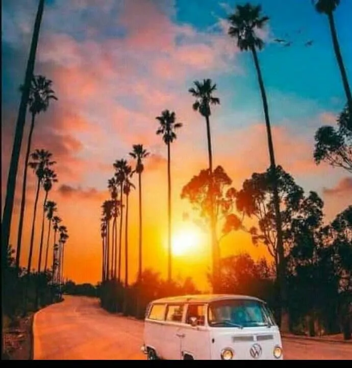 On the sun set