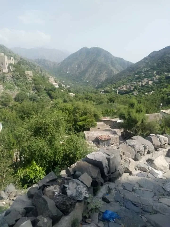 سامع تعز اليمن