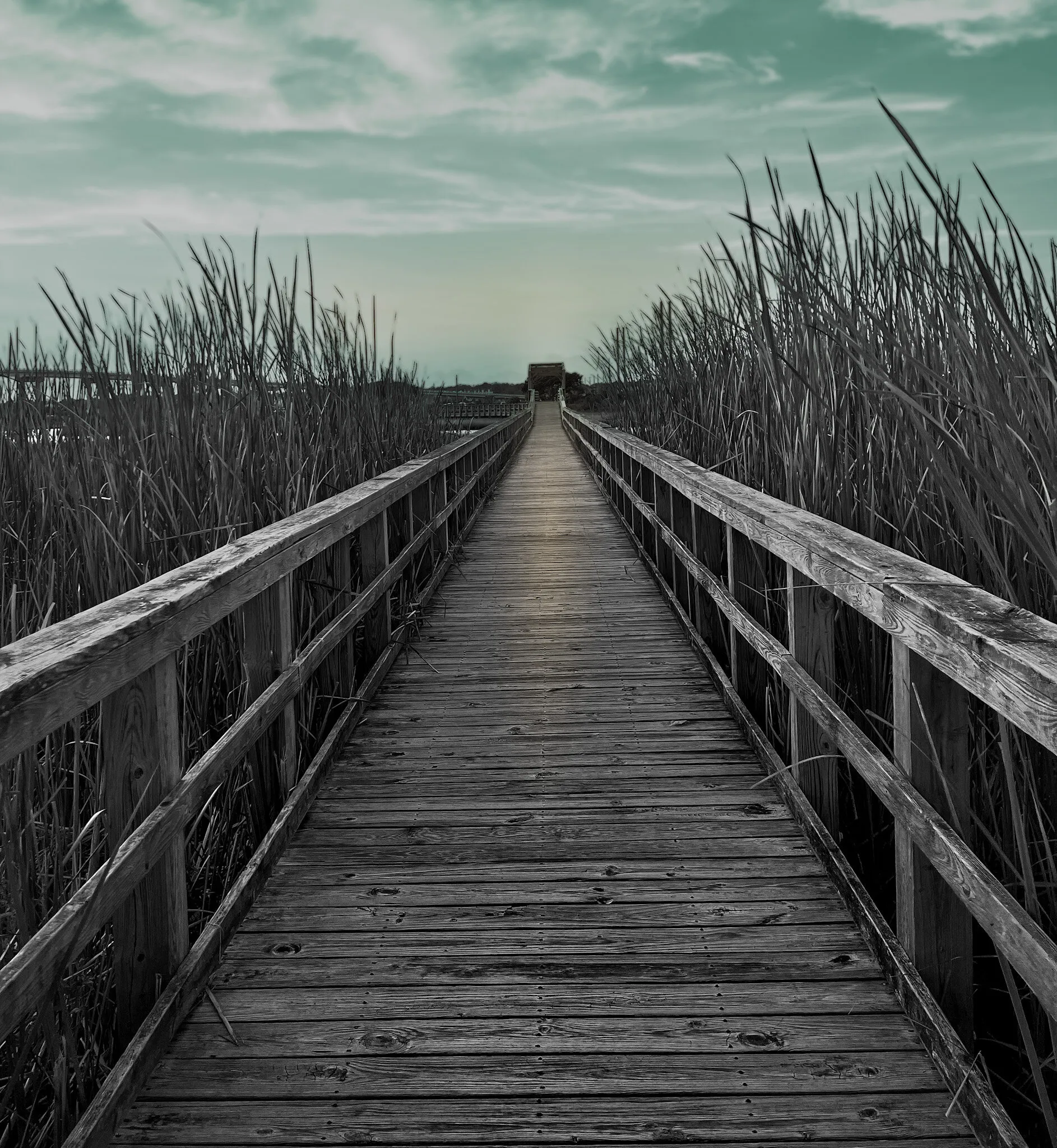 Twilight Marsh