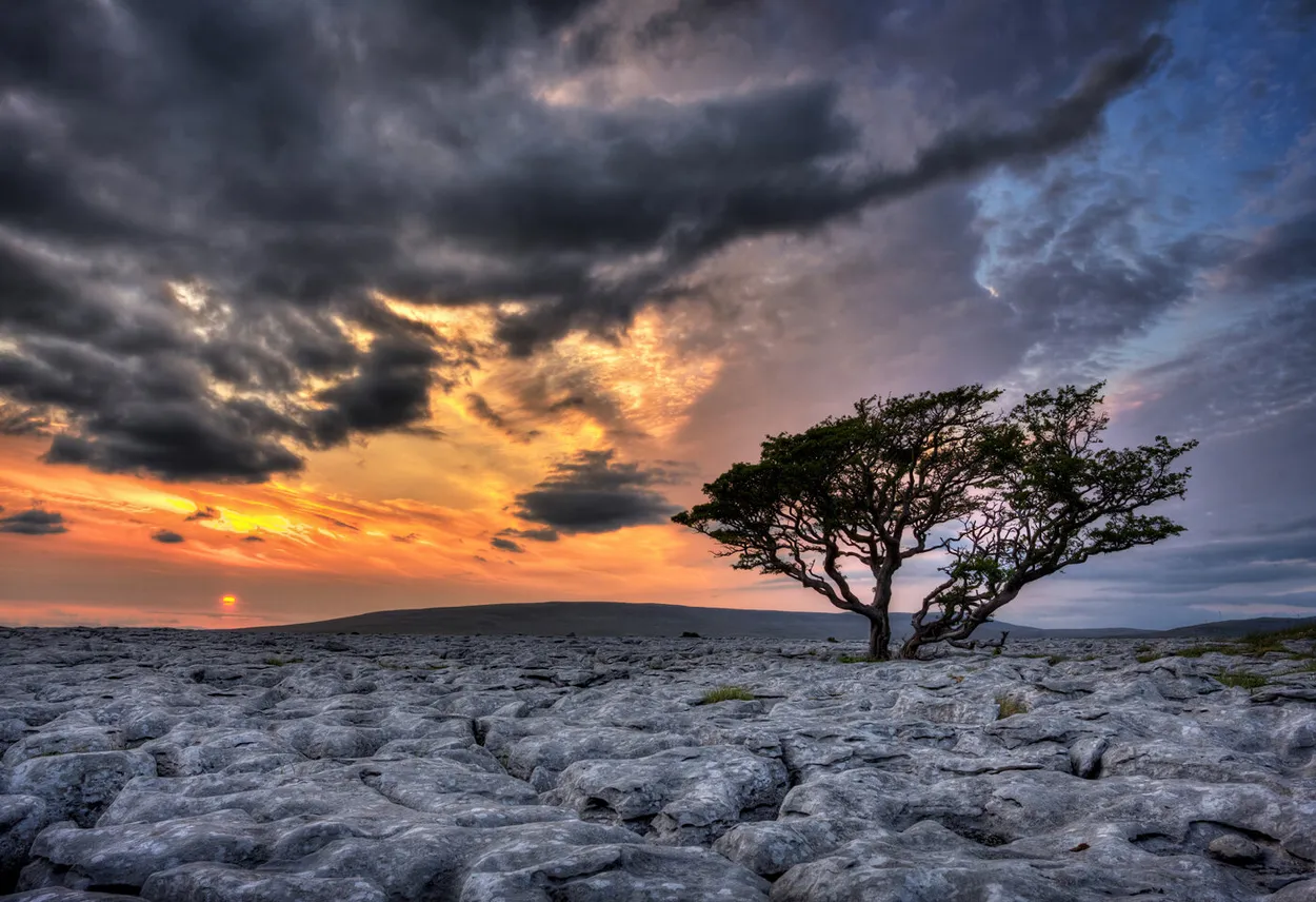 Entry 461793