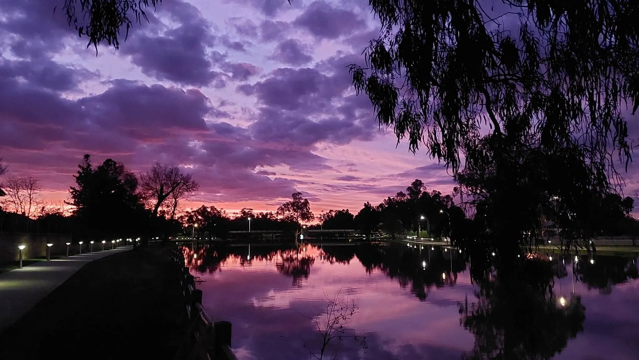 Sunset Walk by Lake Forbes