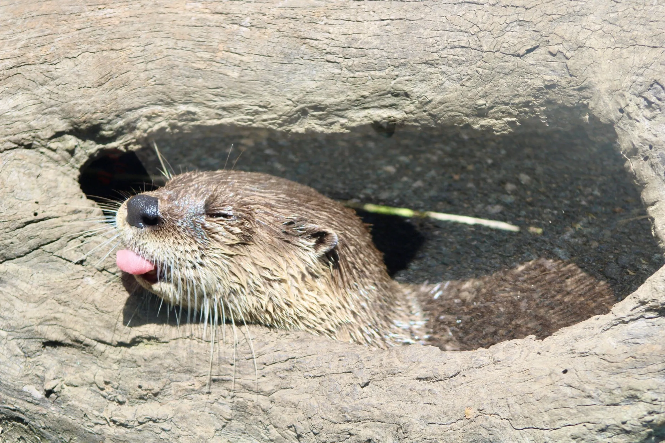 A day at the zoo