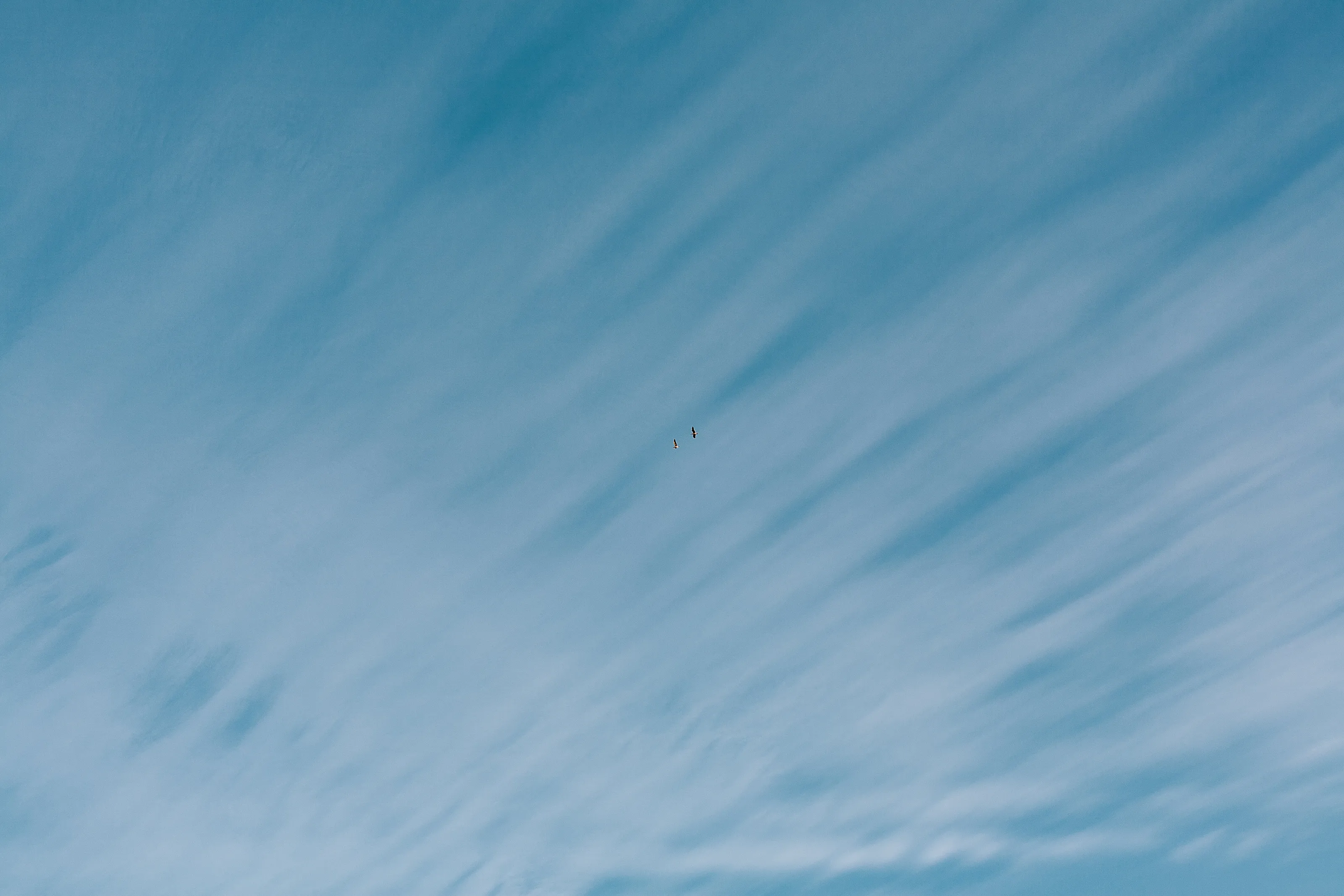 Sky waves.