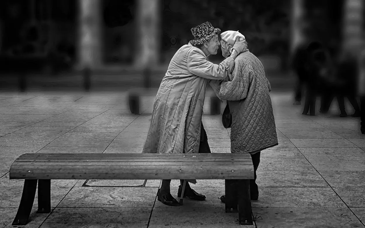 Entry 16568090