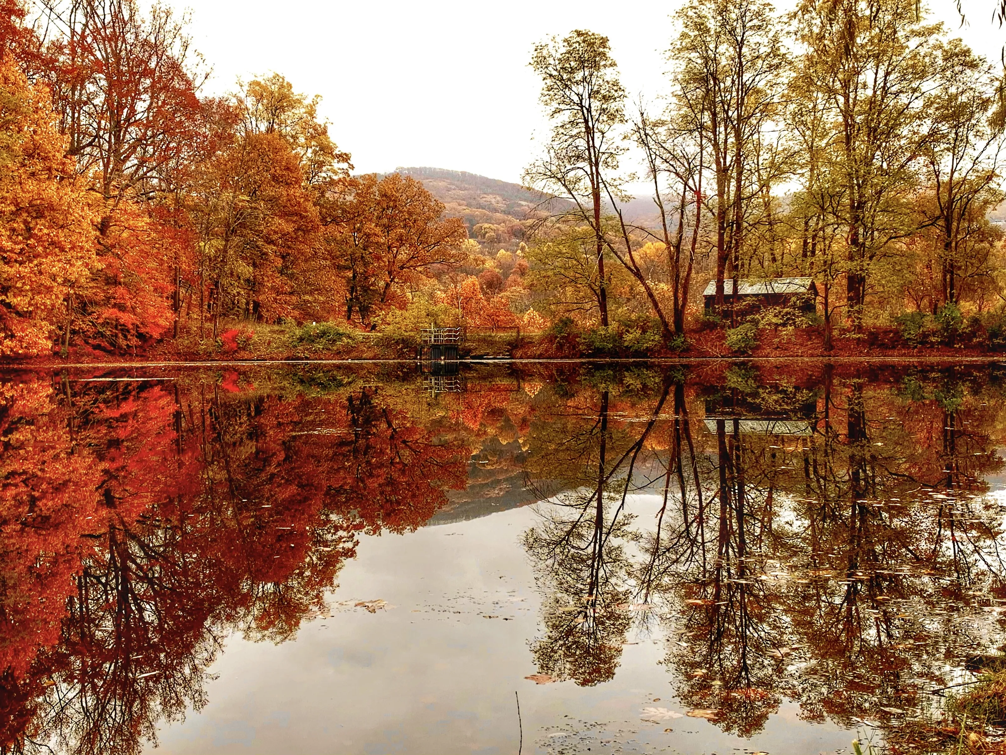 Storm King Autumn