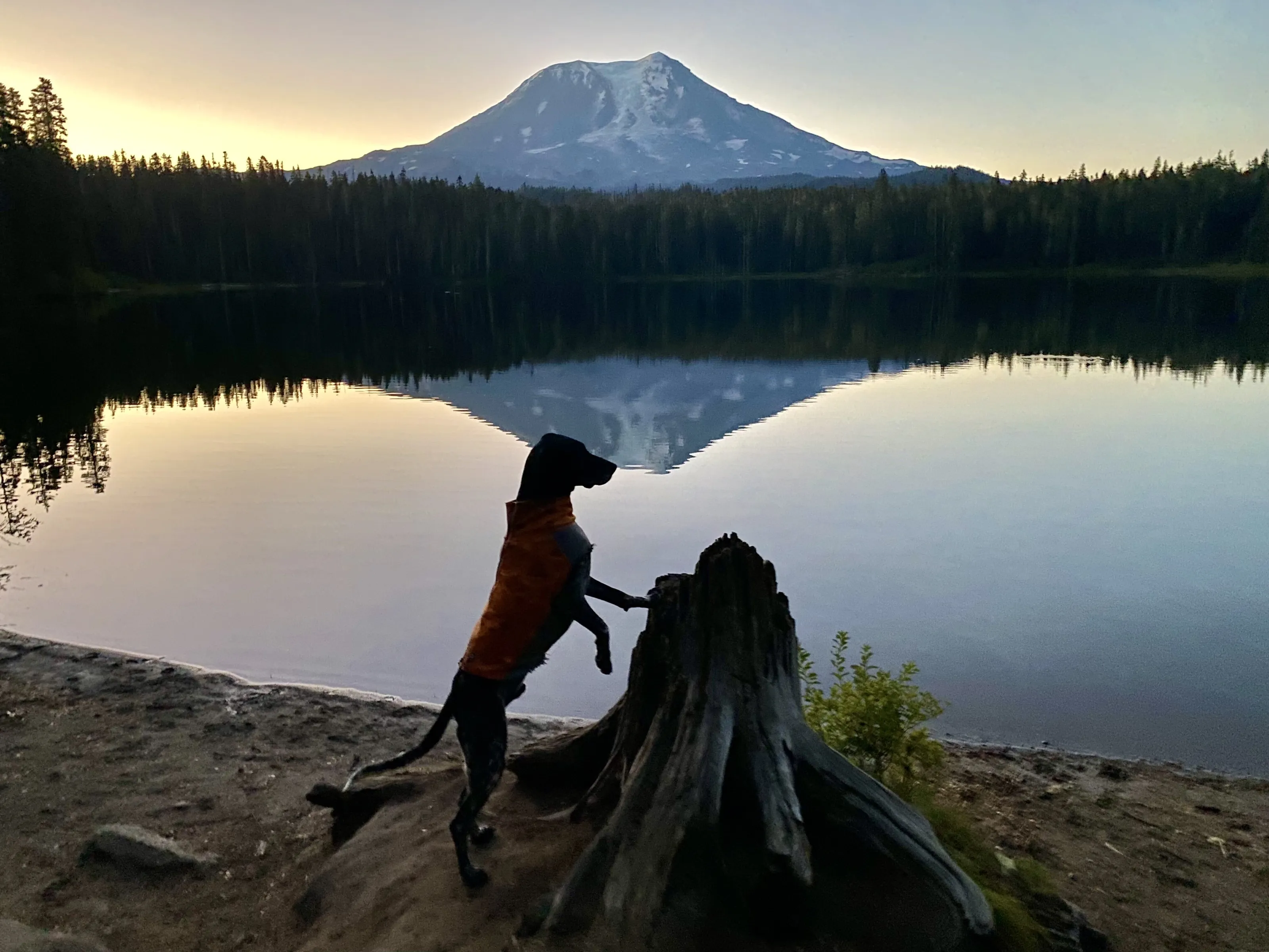 Sunrise in the mountains