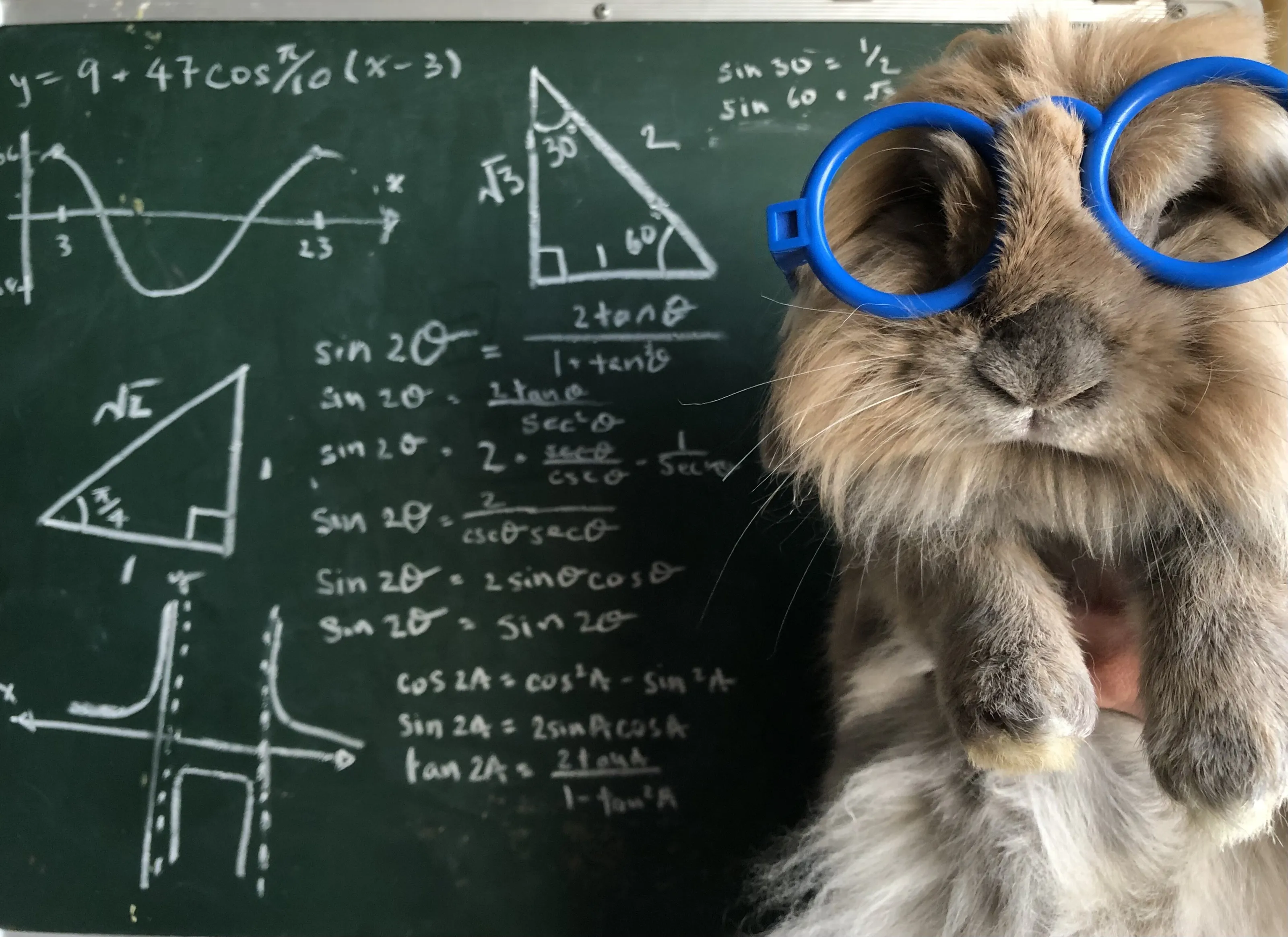 Love Math!