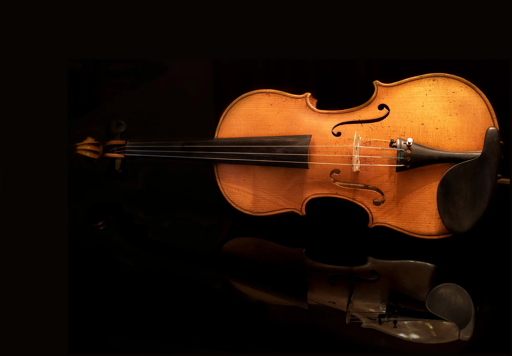 Violin