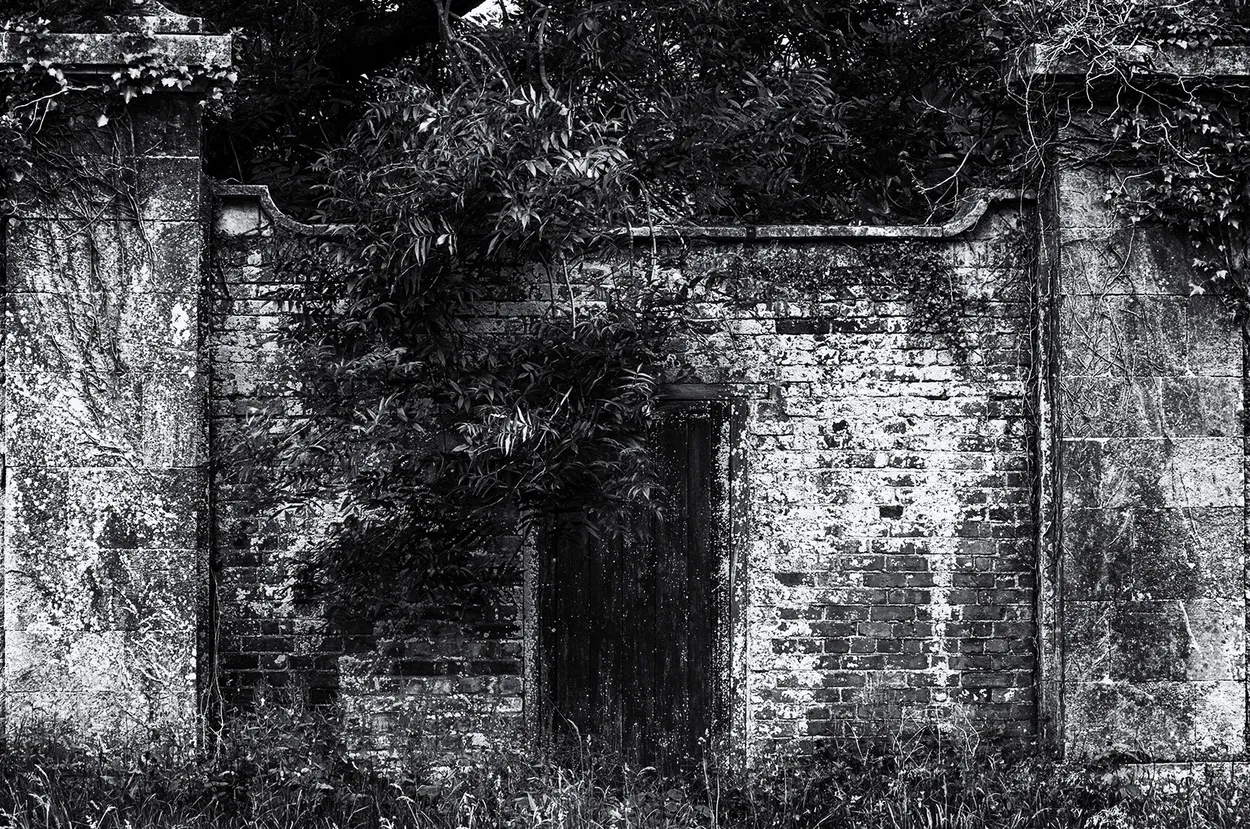 Entry 16694742
