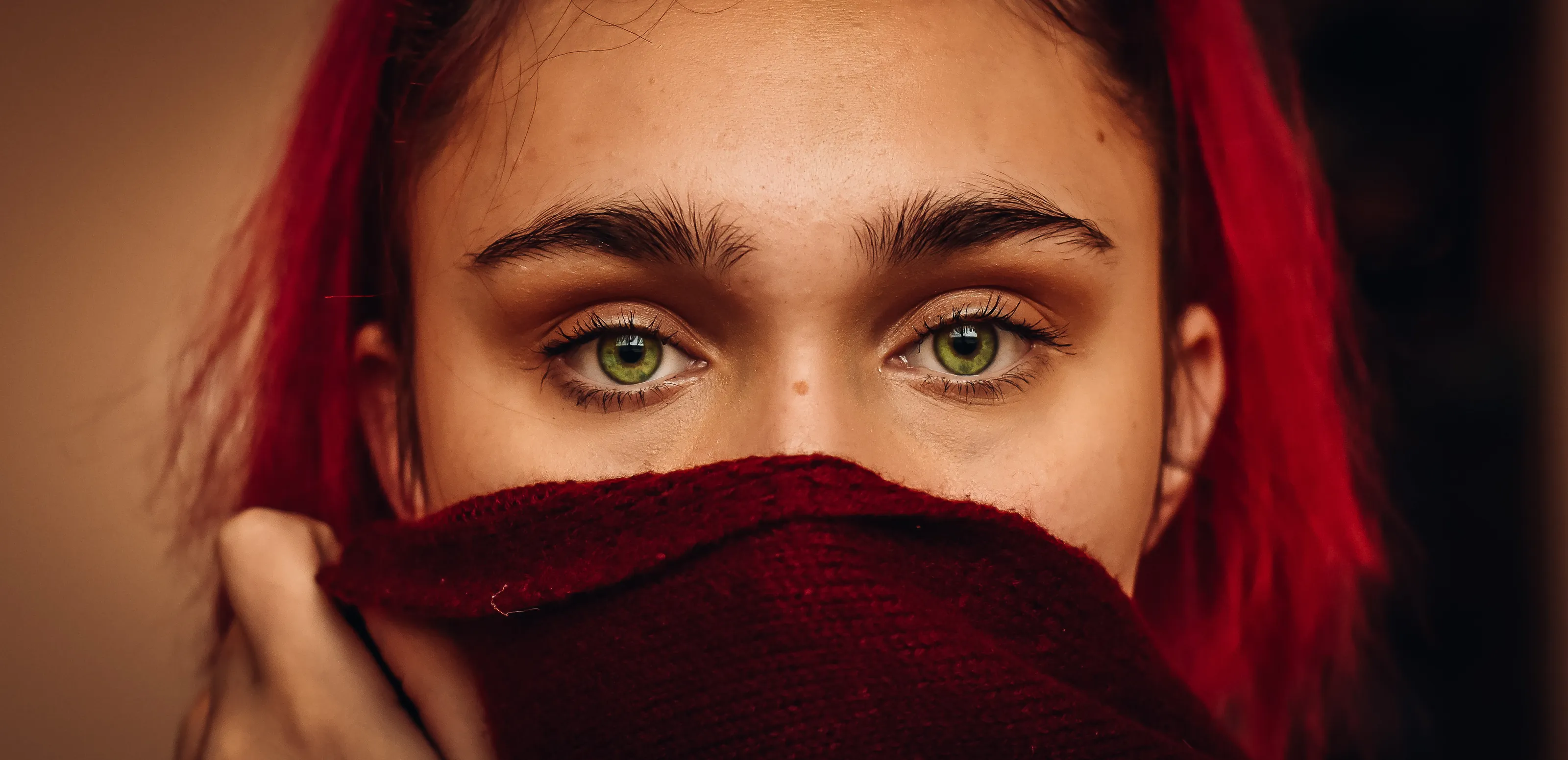Banner image