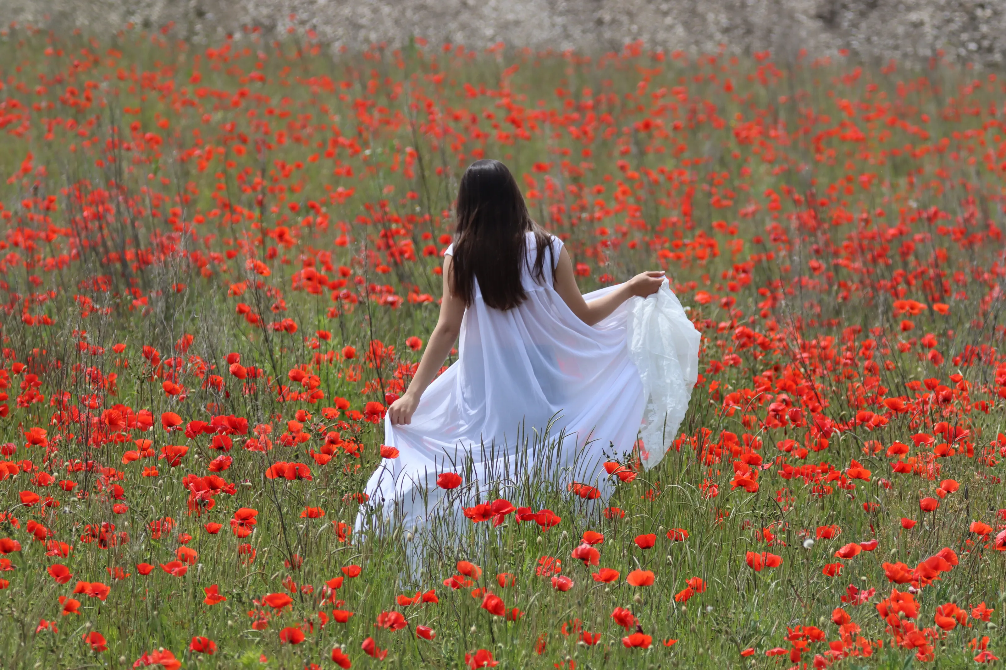 Summer fairy