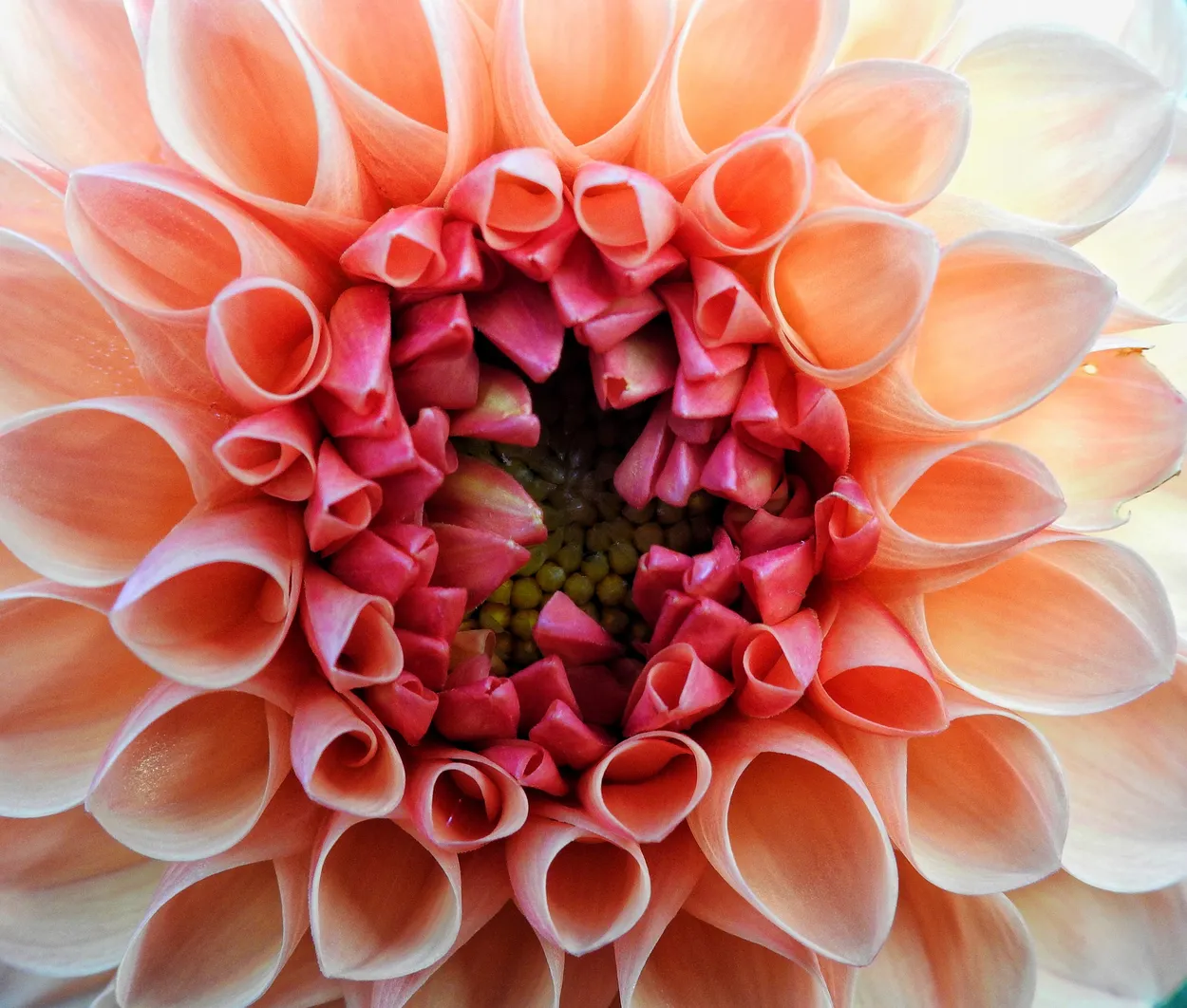 Entry 747476