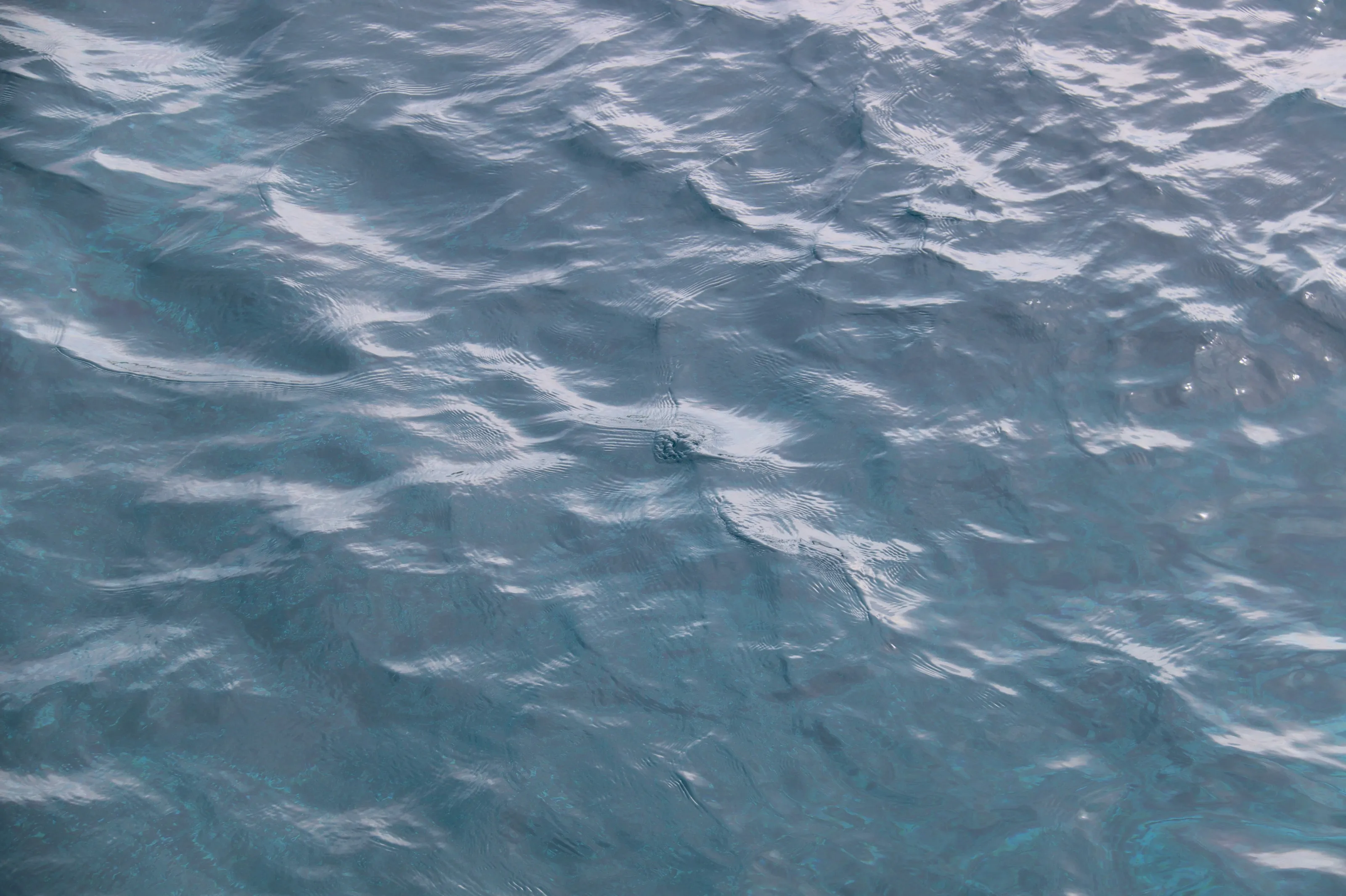 Ocean