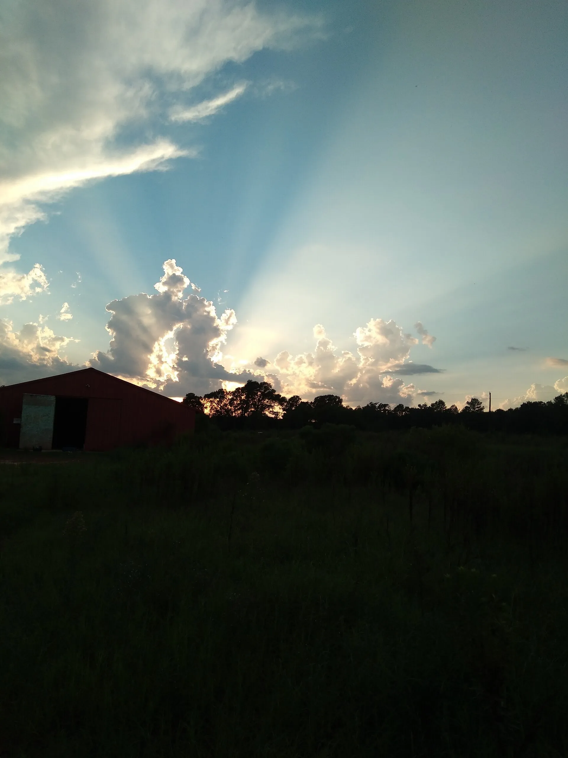 Hope for the world