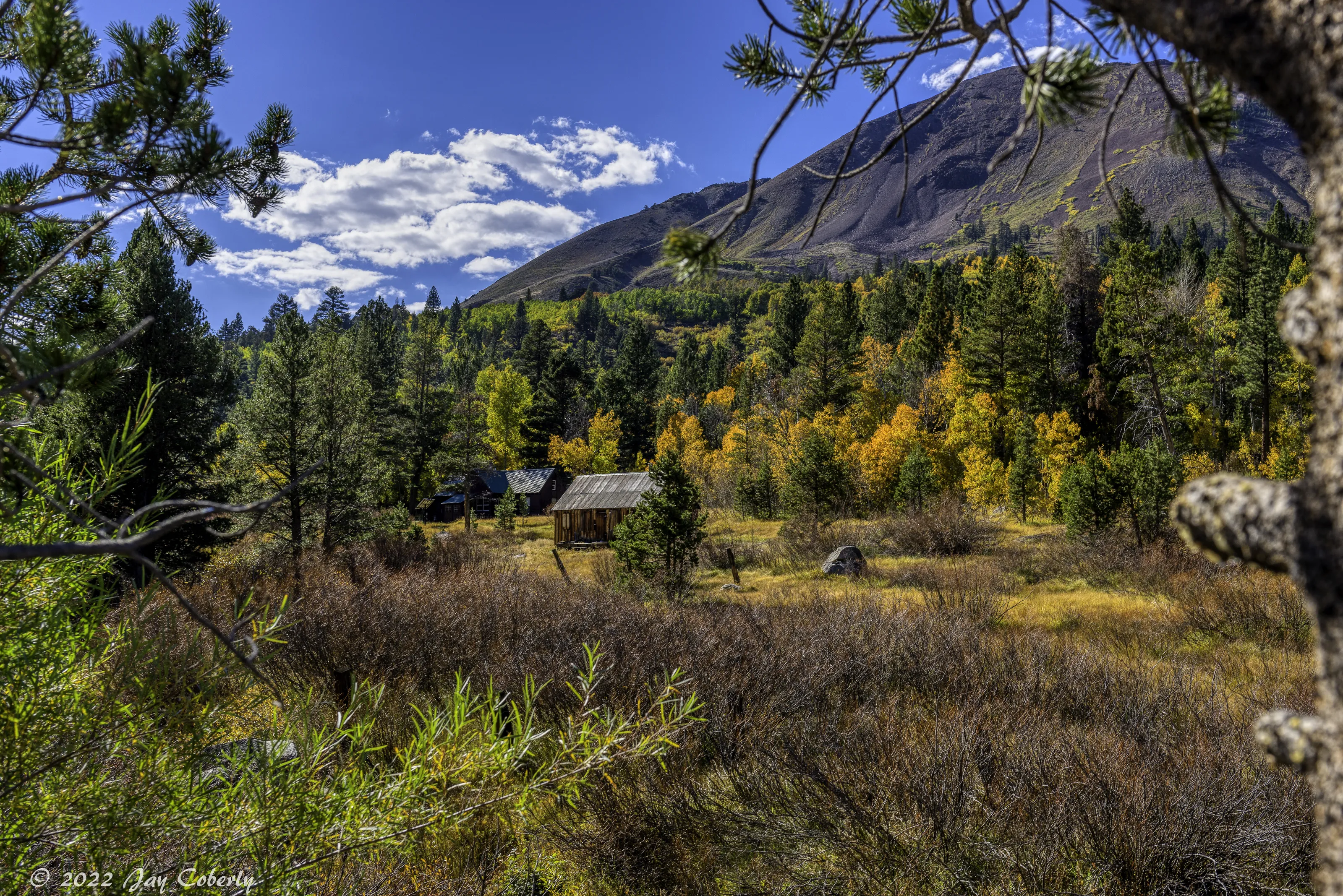 Autumn in Hope Valley California