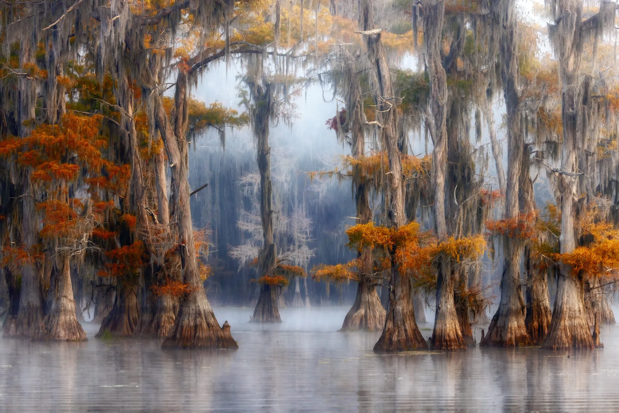 Cado Lake Fall Colors