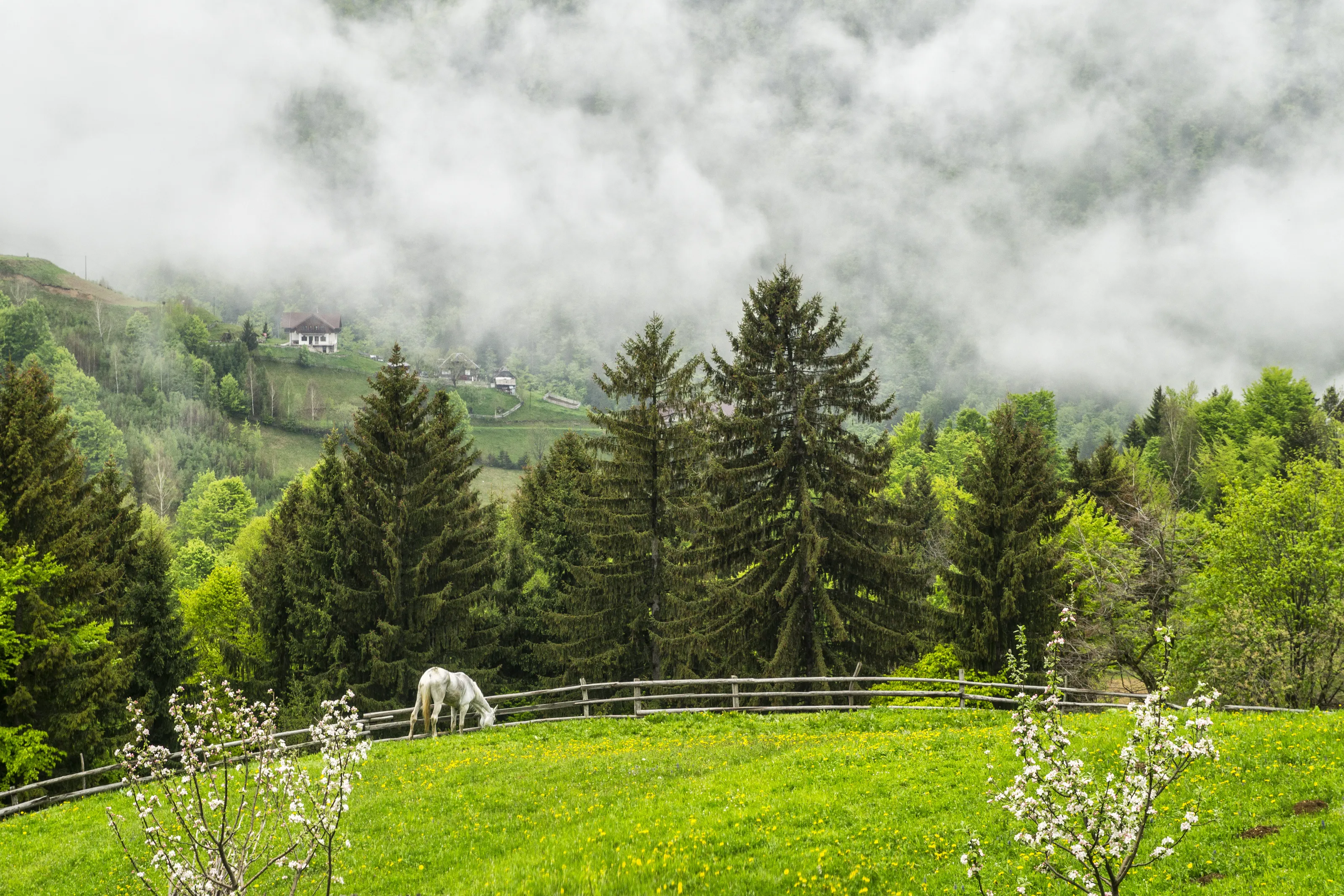 A green world