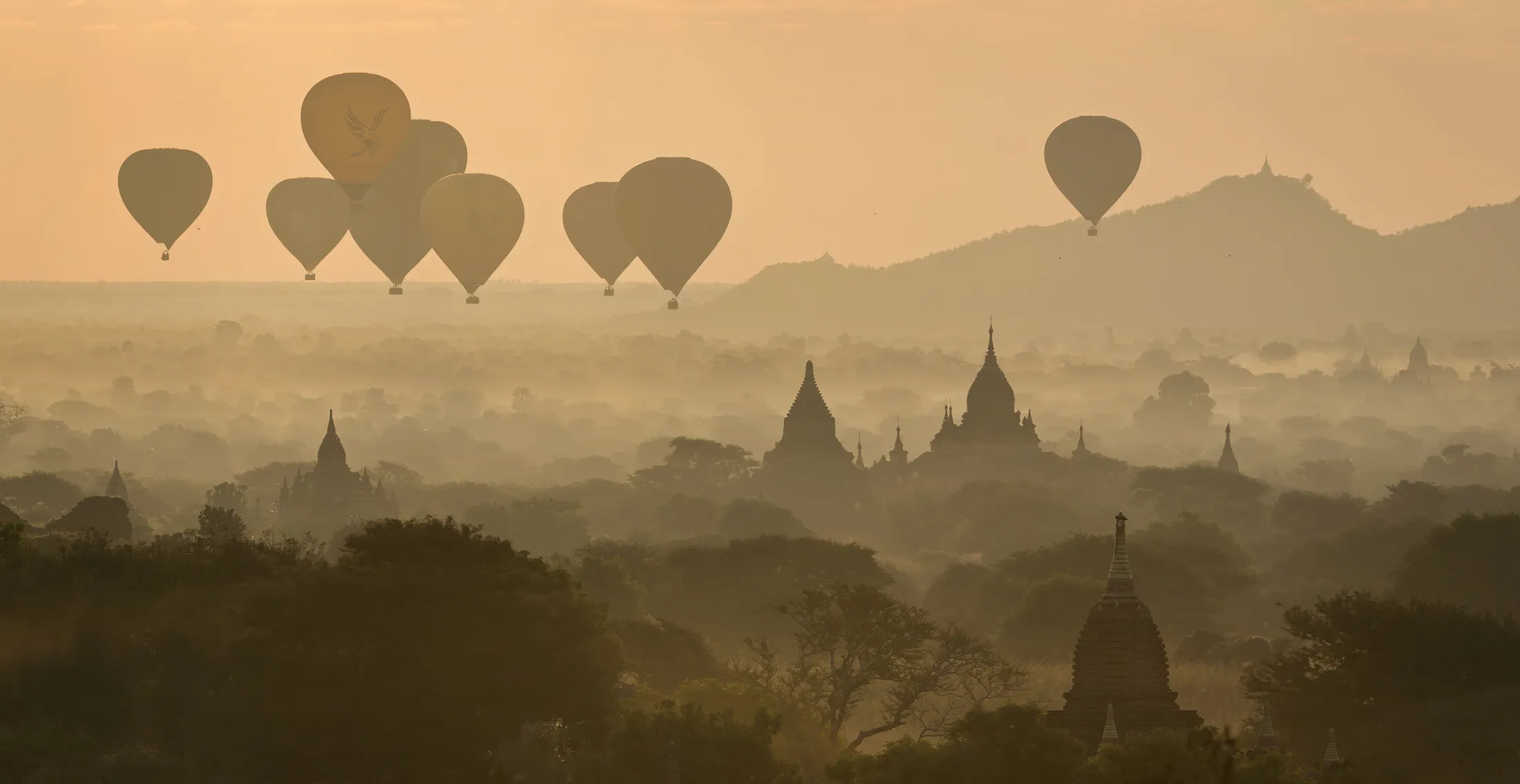 Entry 19553346