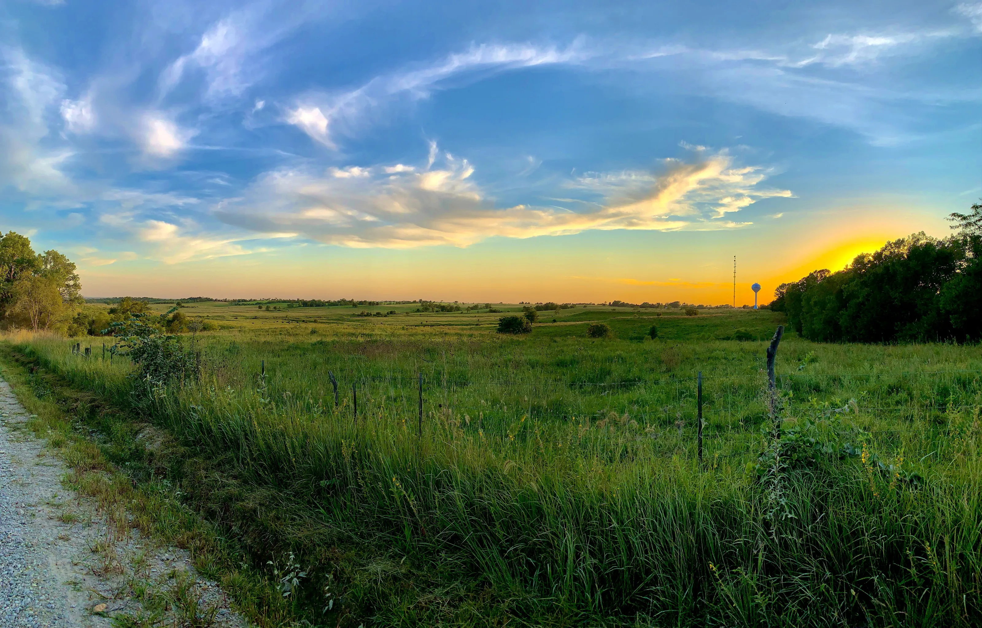 Summer Backroad
