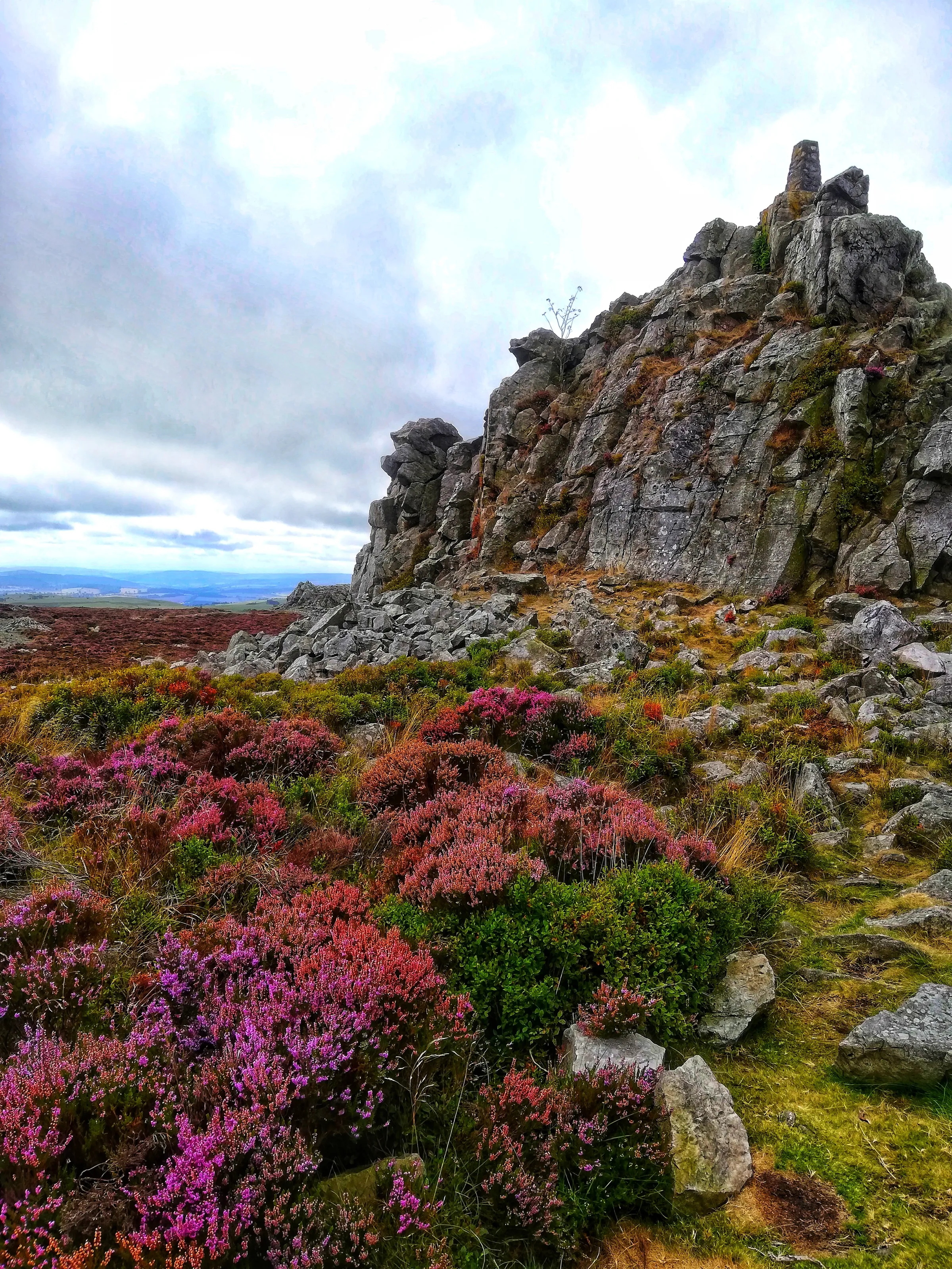 The Stipersrones Natural Reserve