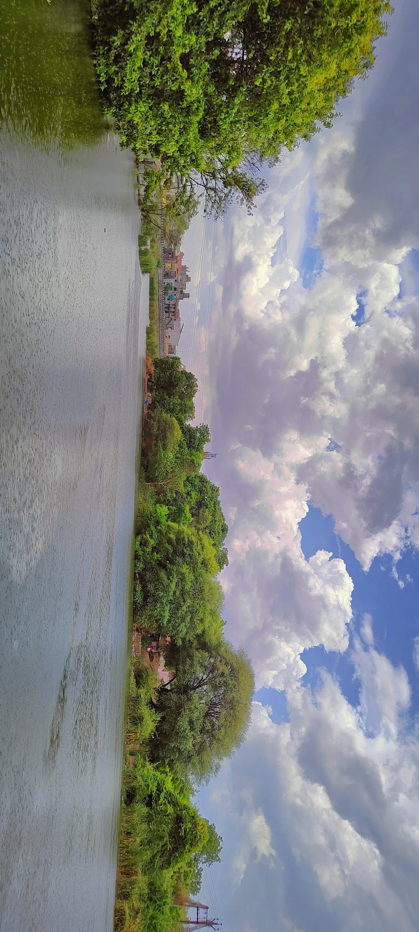 Nature love