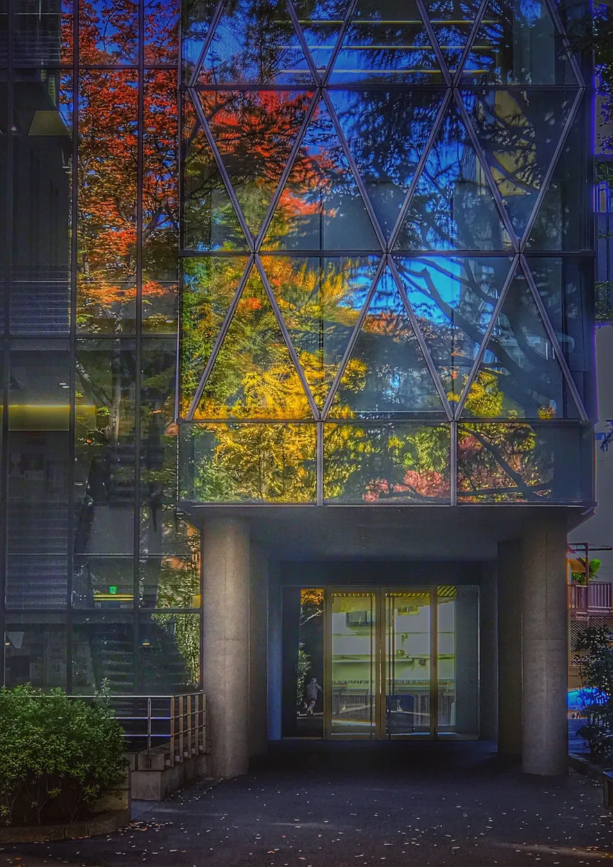 Entry 18452129