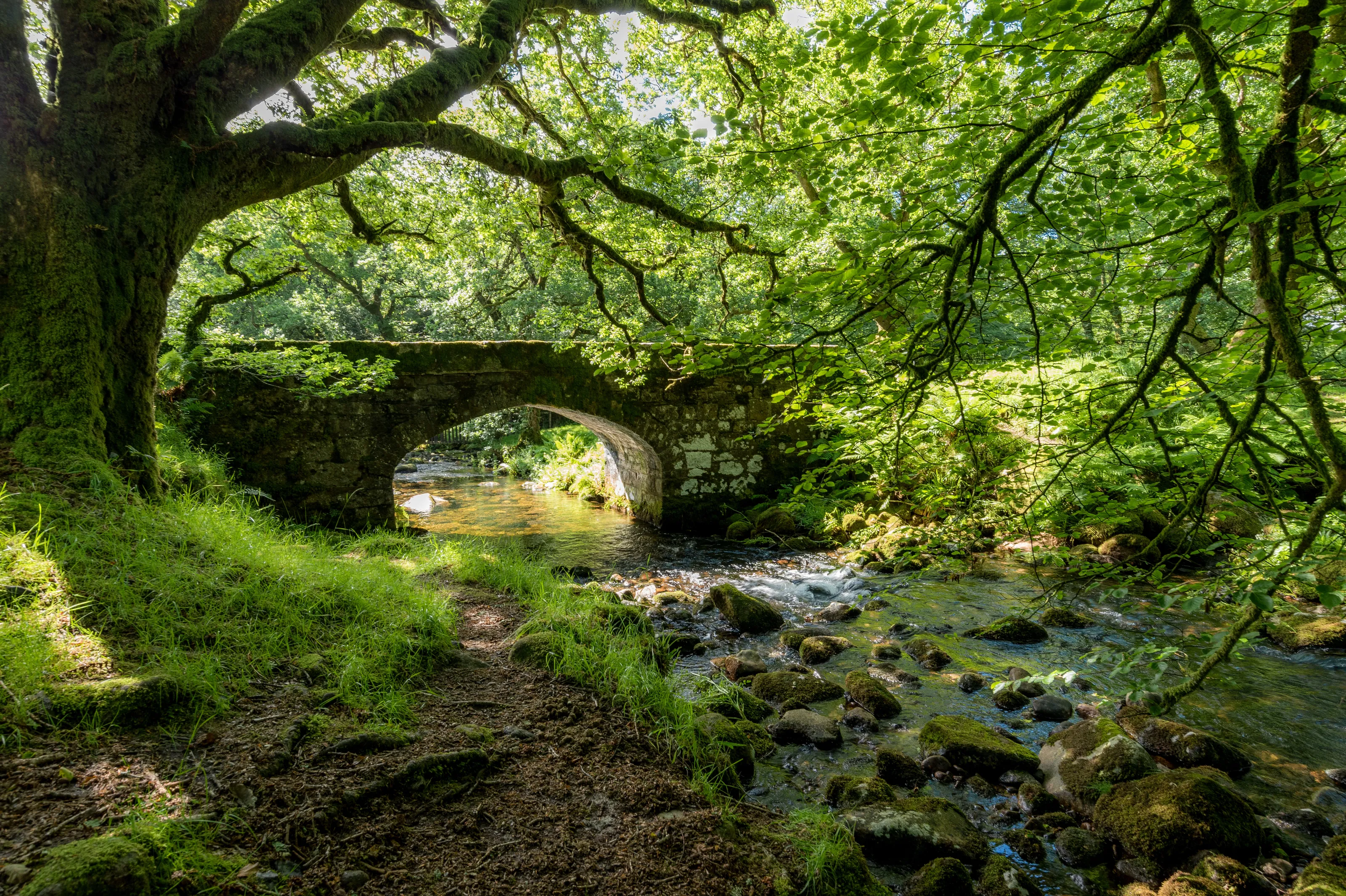 Norsworthy Bridge