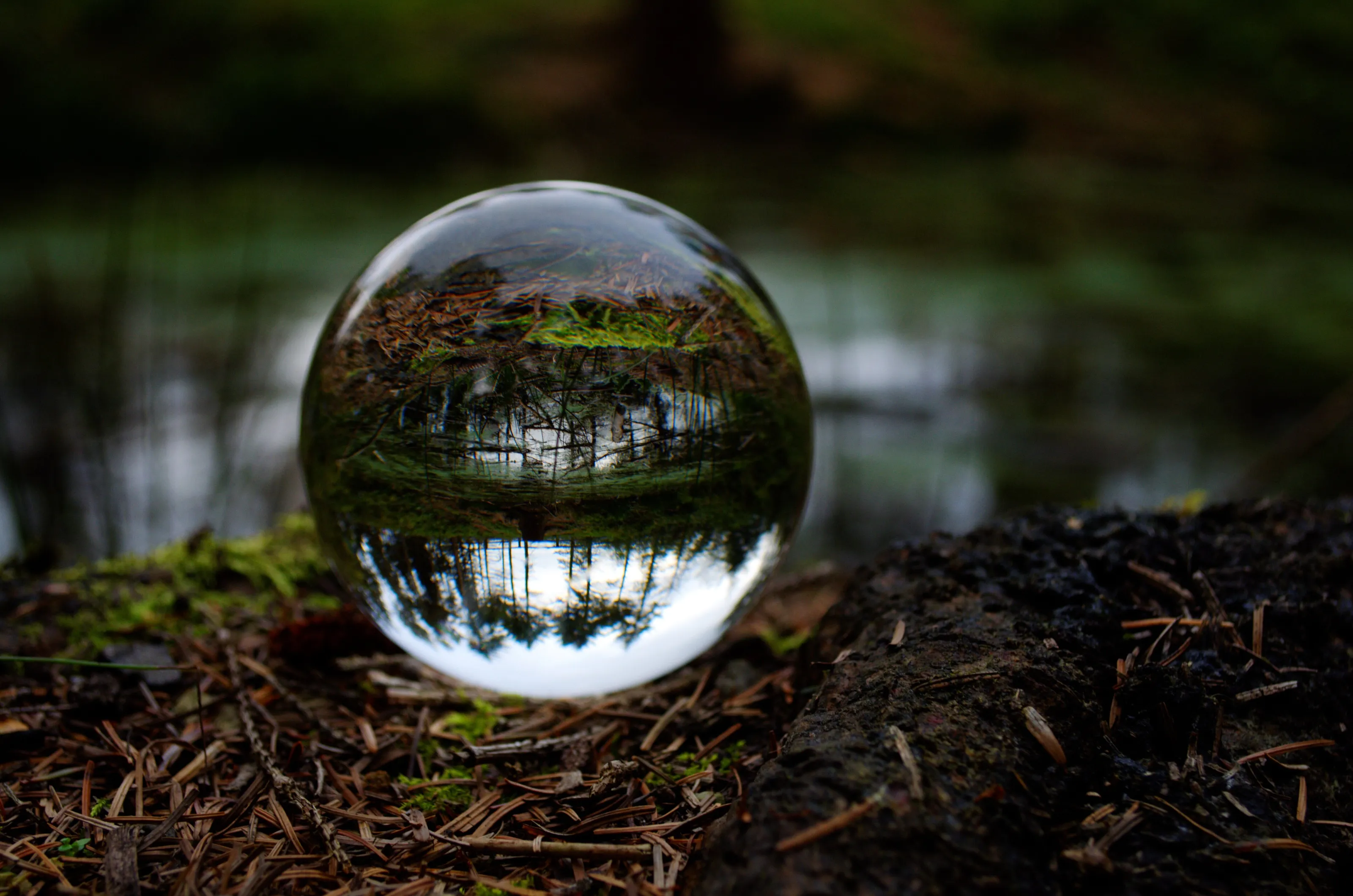 Natural Reflections