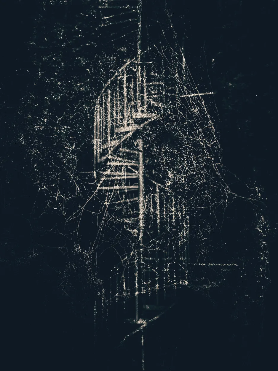 Entry 14856386