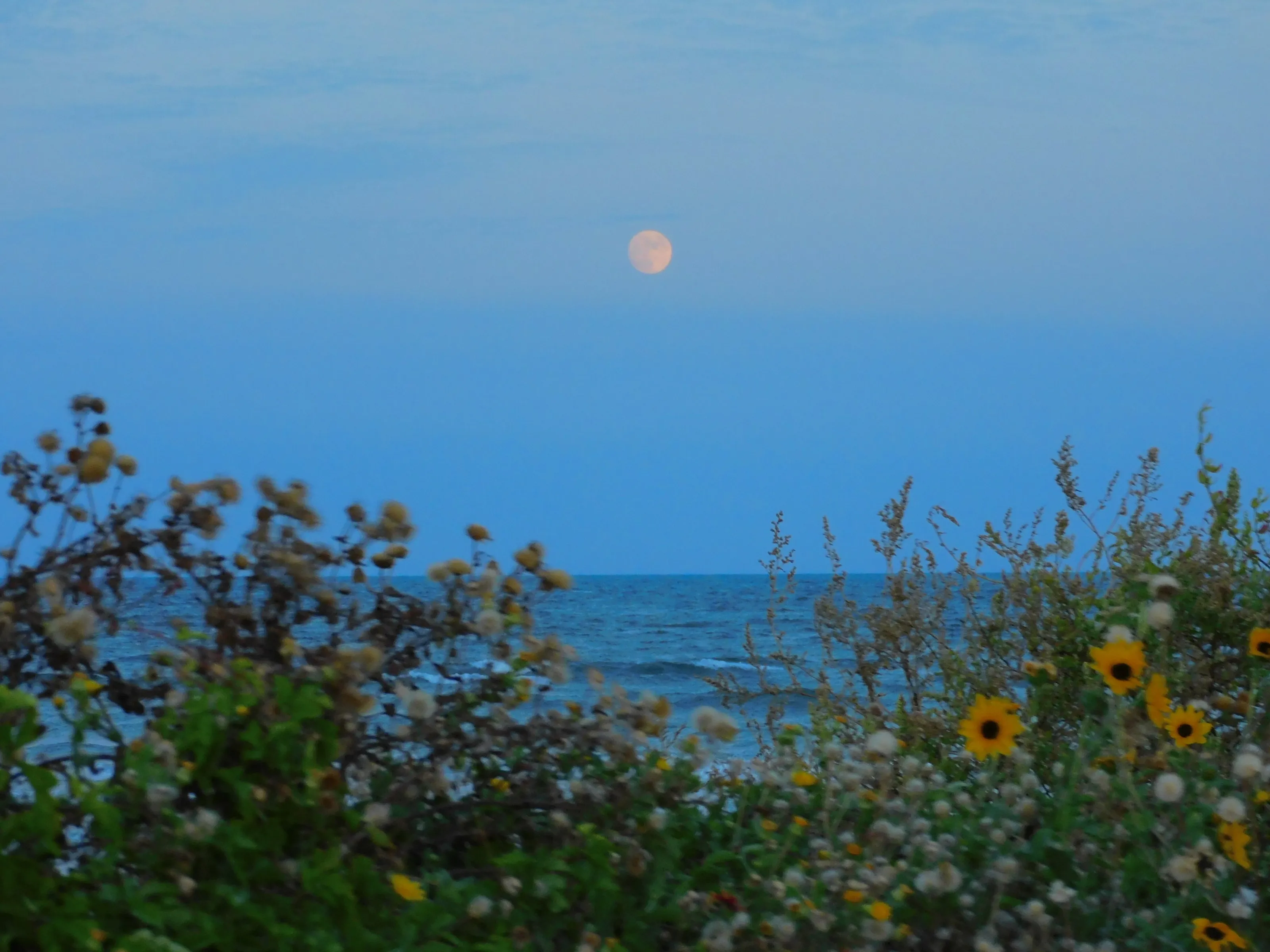 Hunter’s Moon Rising