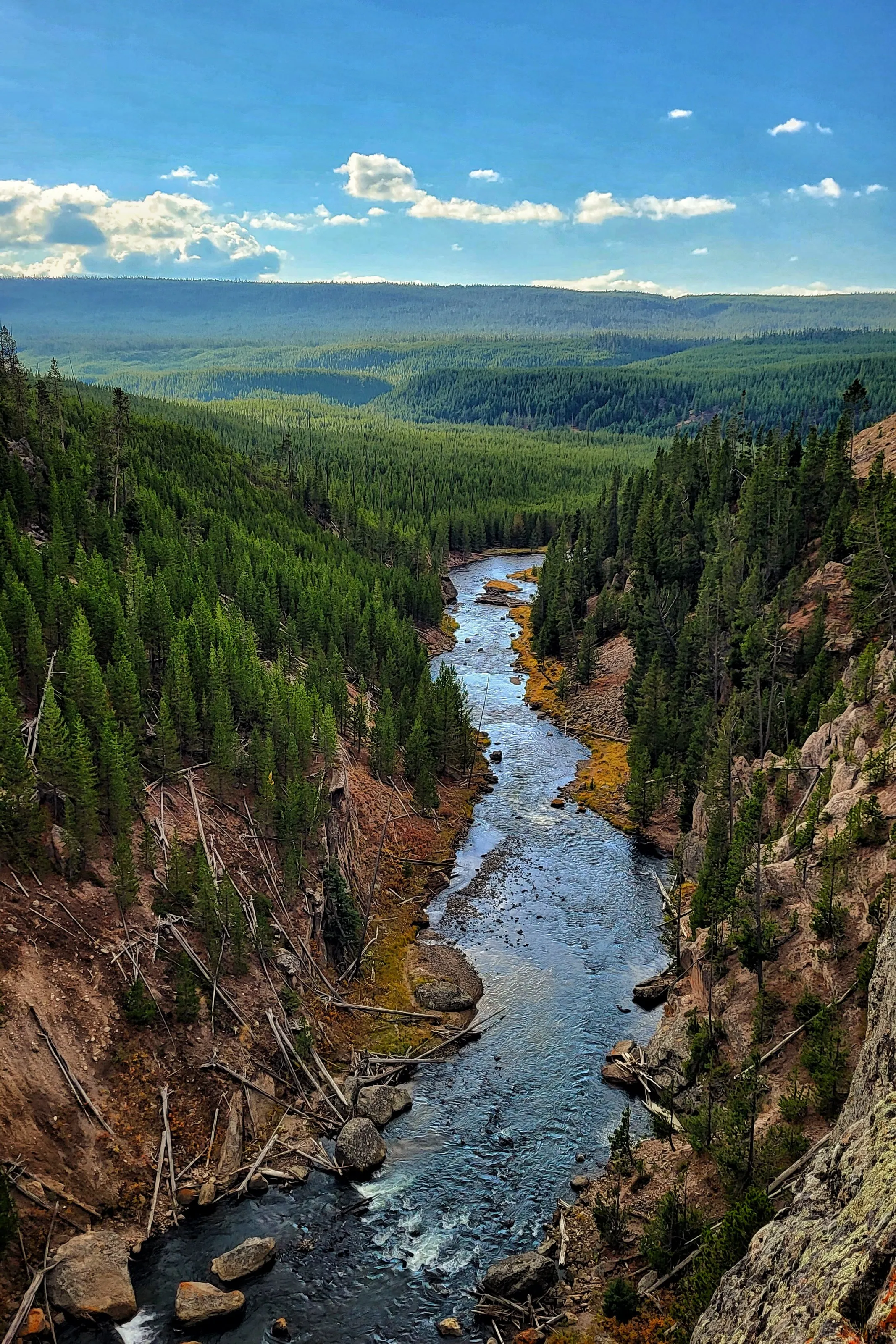 Stream of Beauty