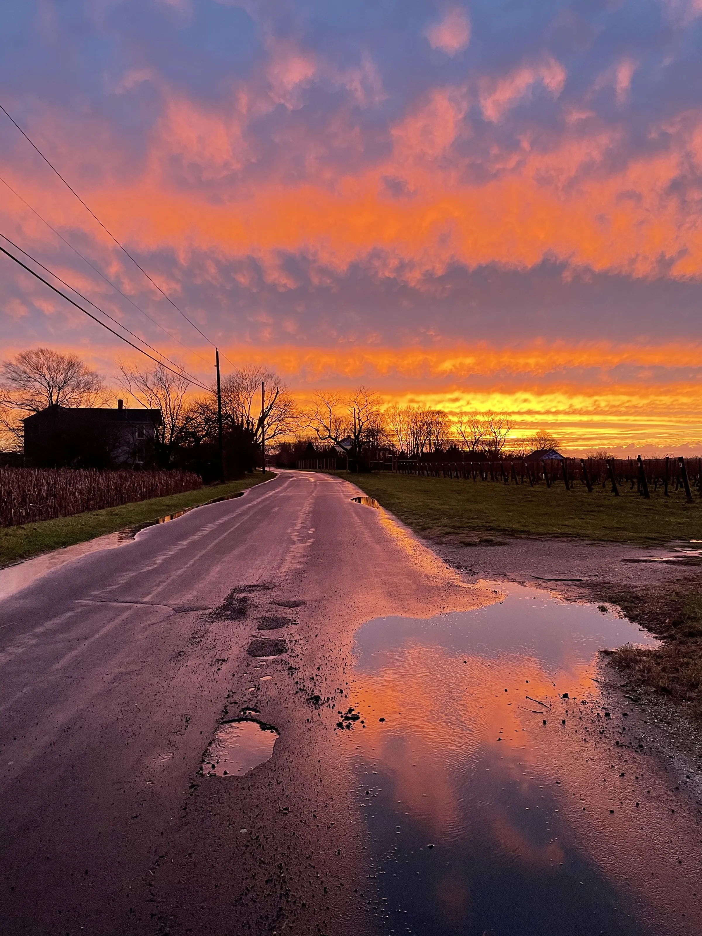 winter road