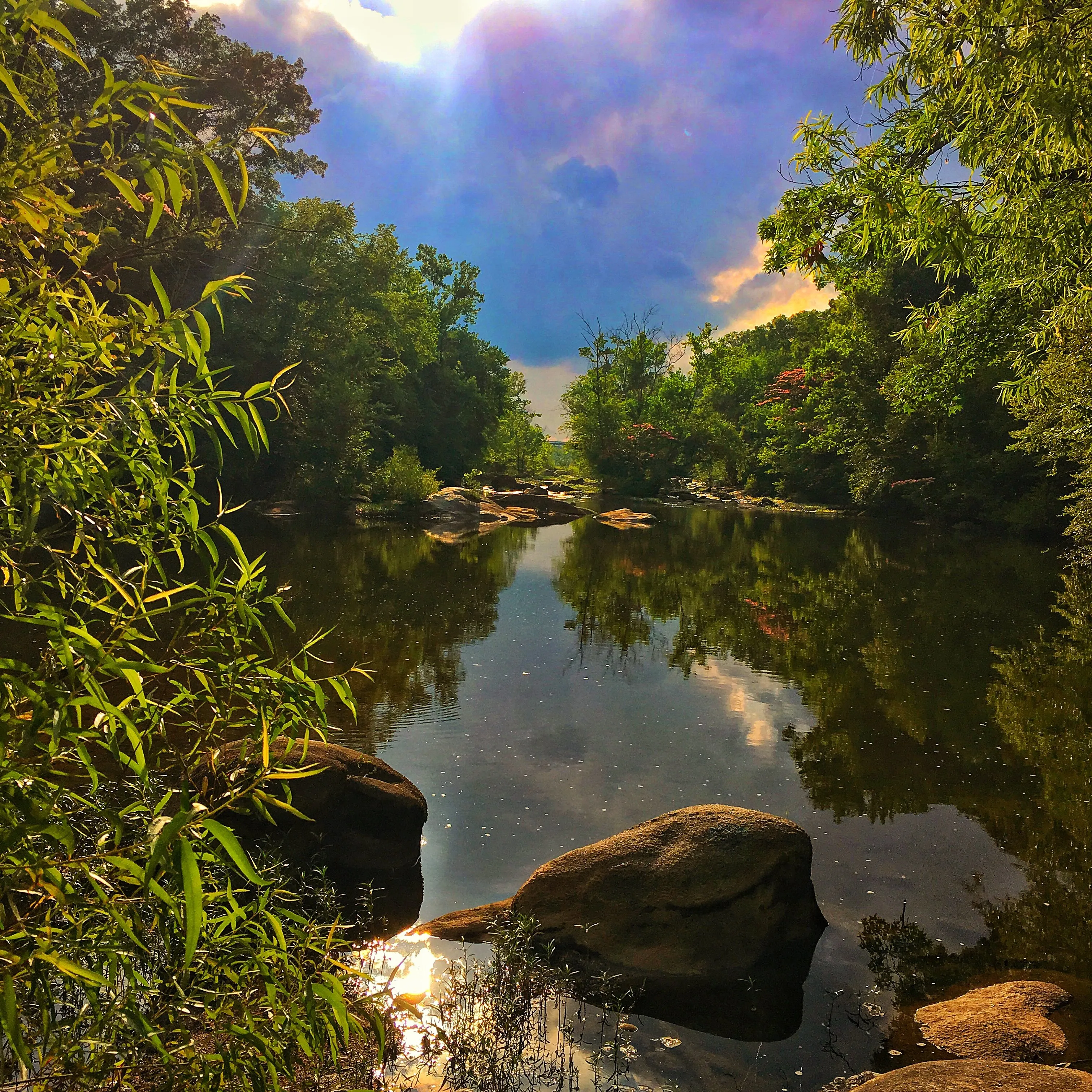 Heavenly Vibe