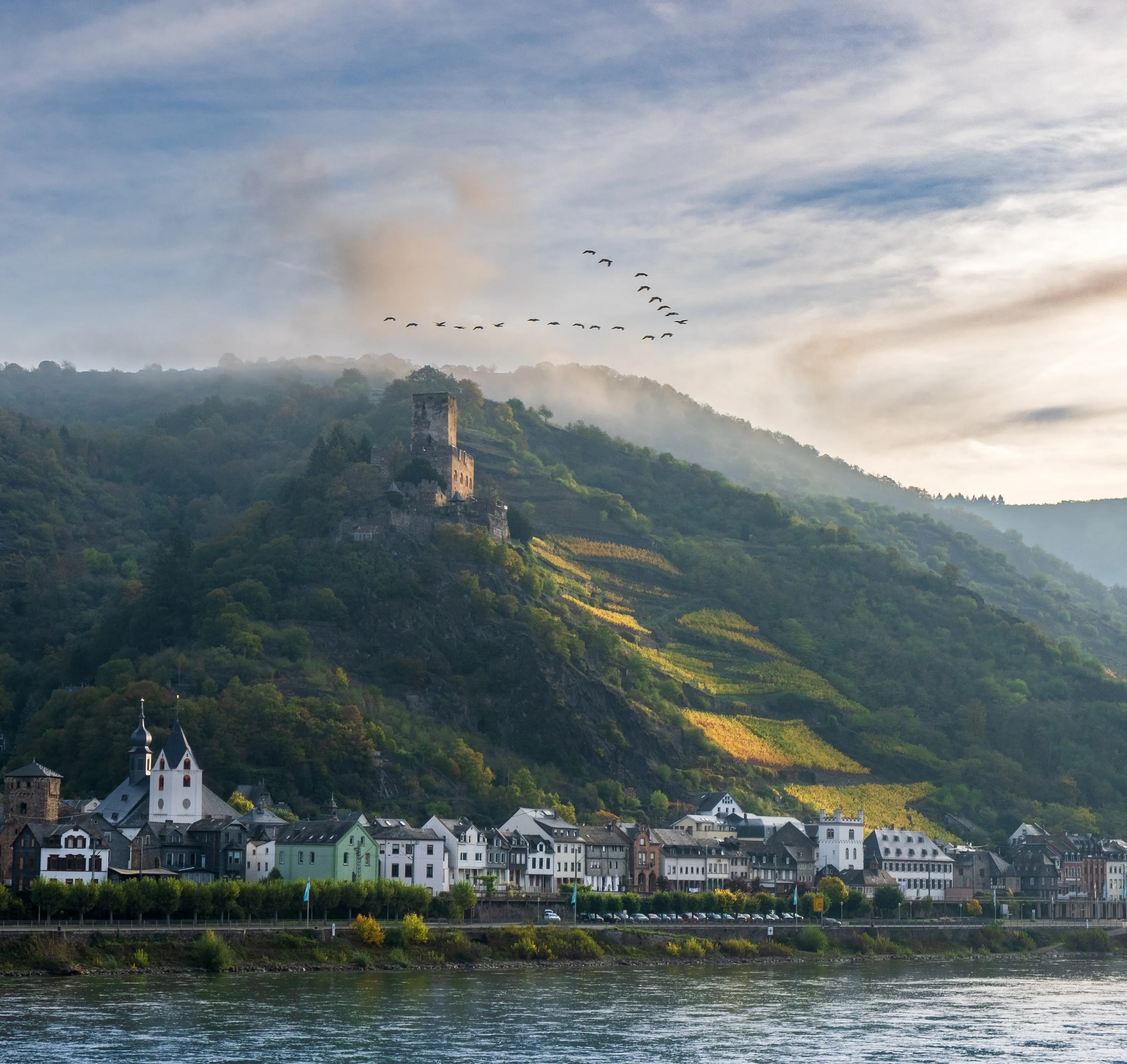 Autumn in the Rhine valley