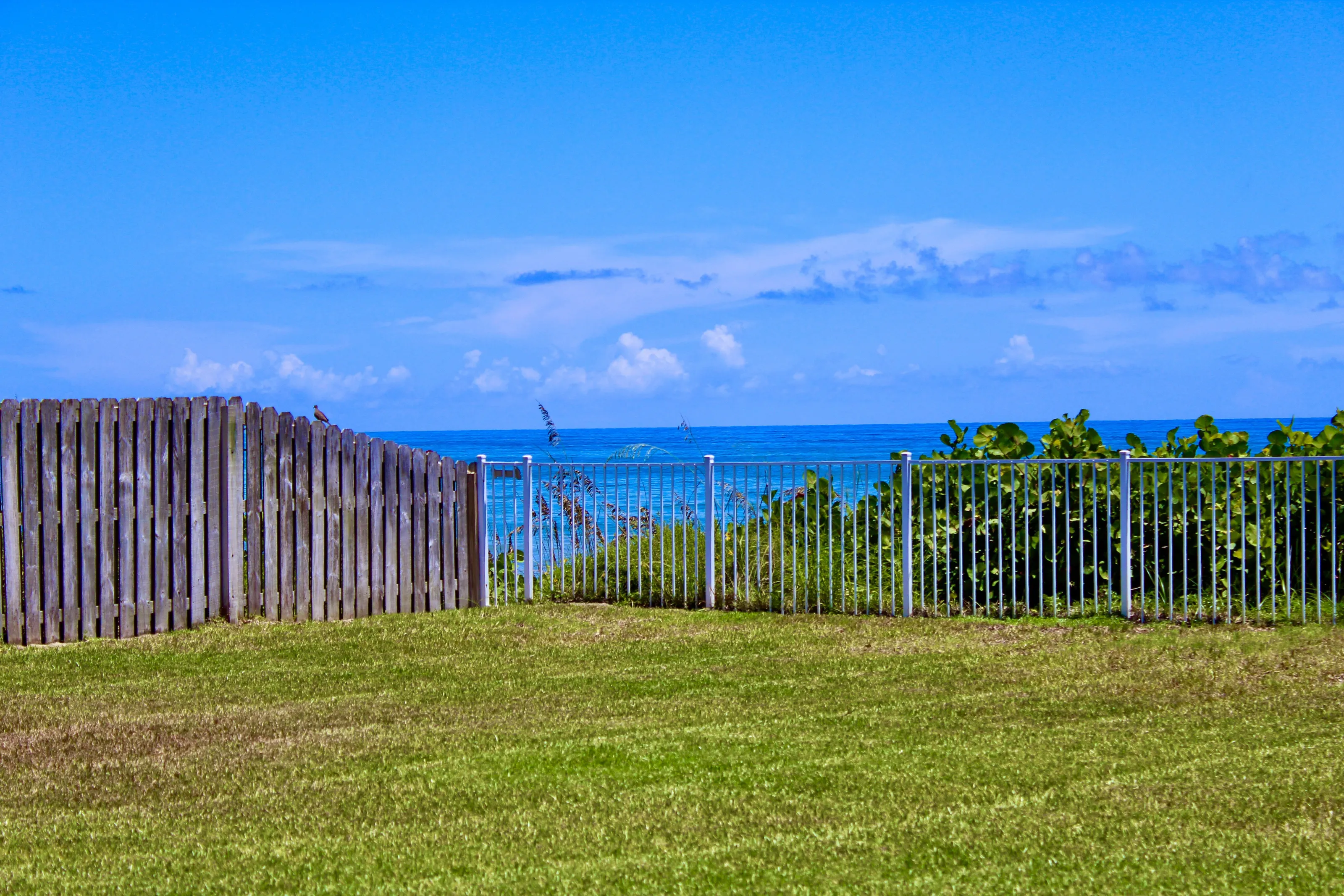 Backyard Beachhouse