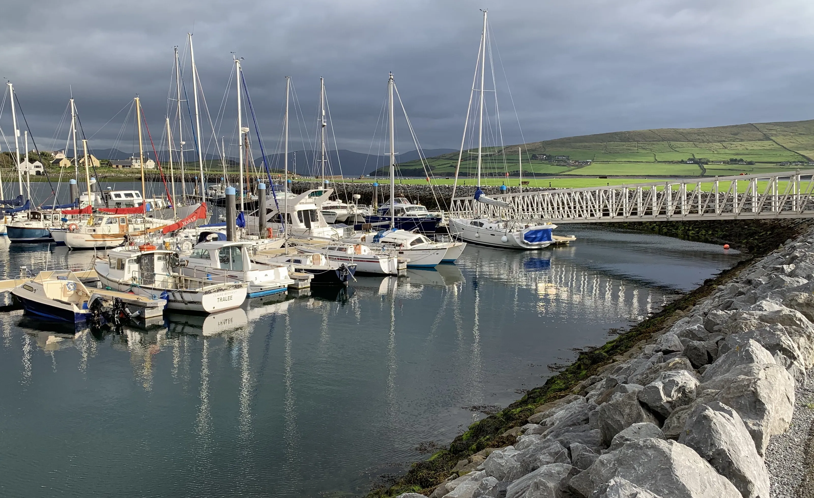 Dingle