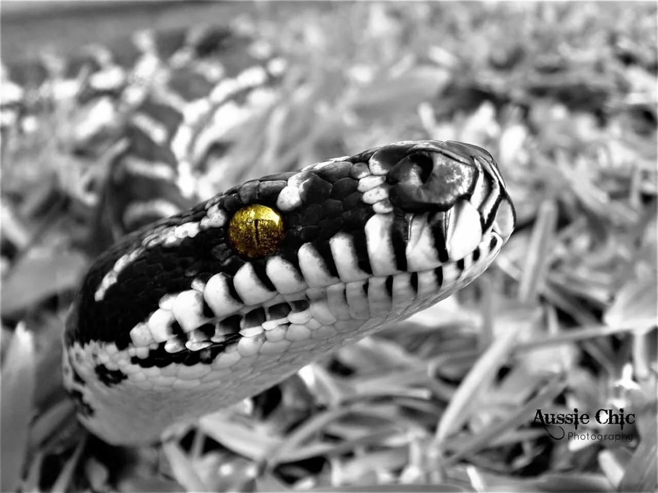 Eye Into The Soul