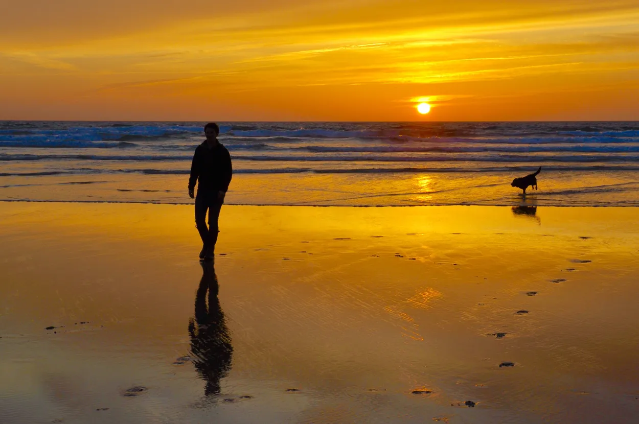 Dogs at Sunrise and Sunset (in colour) - pets photo contest ...