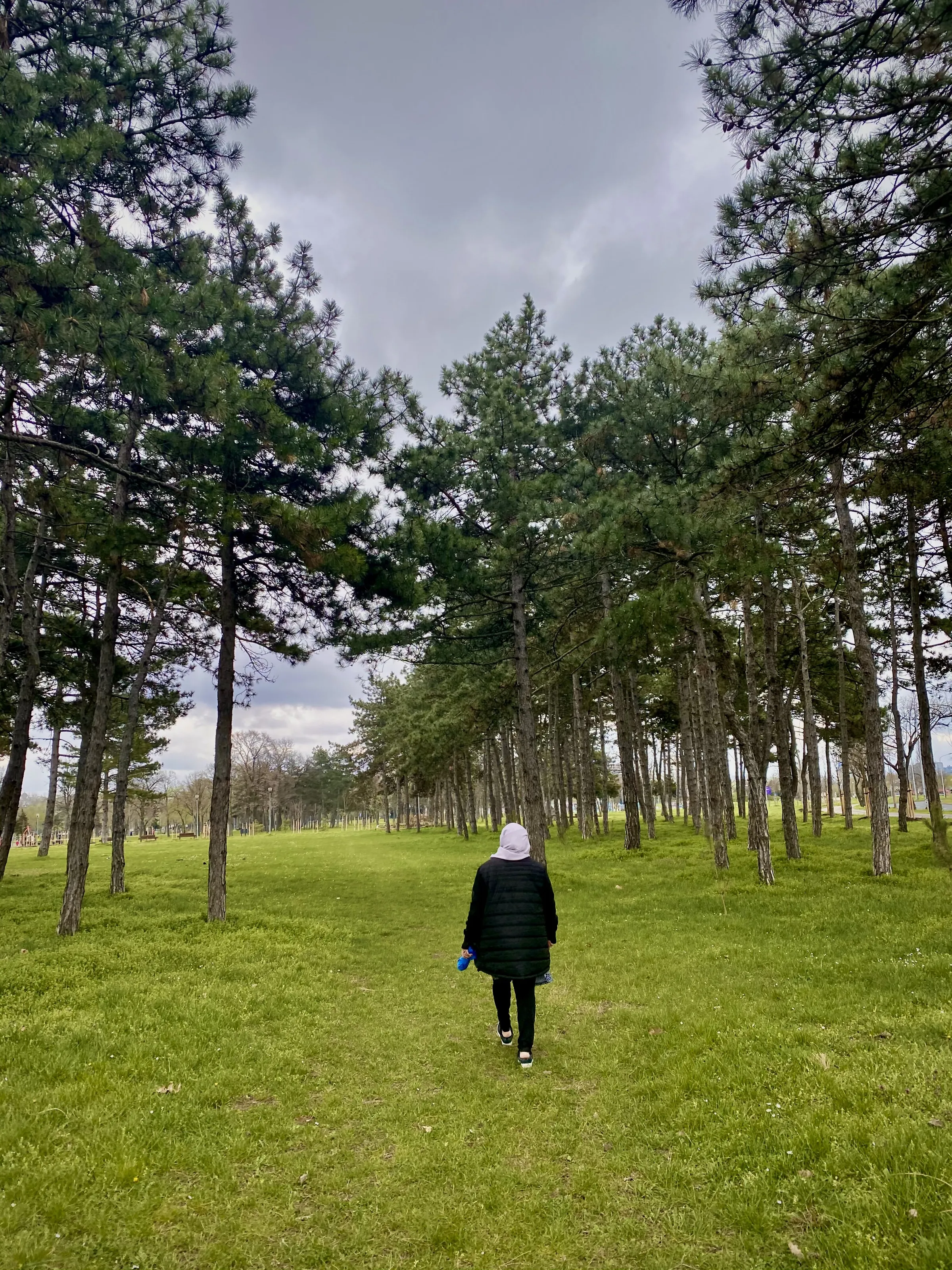 Back to the forest