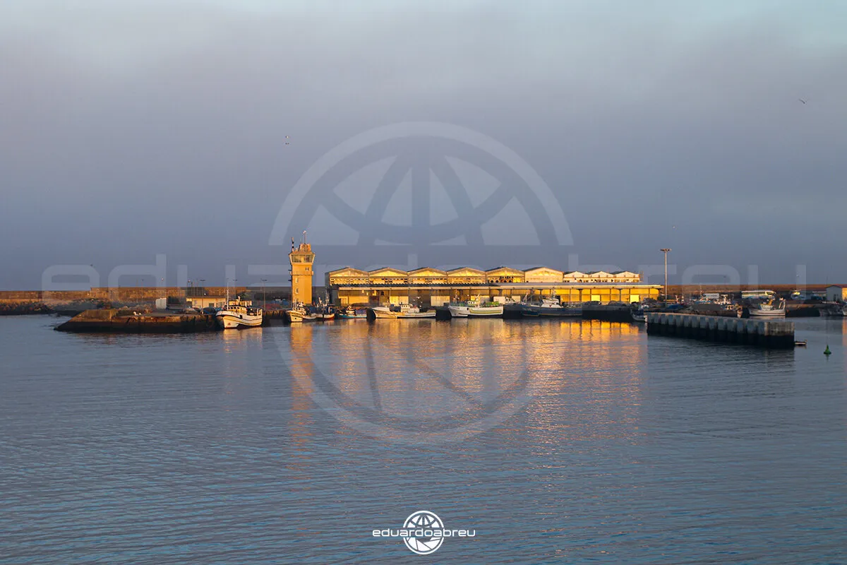 dock harbor and the sea