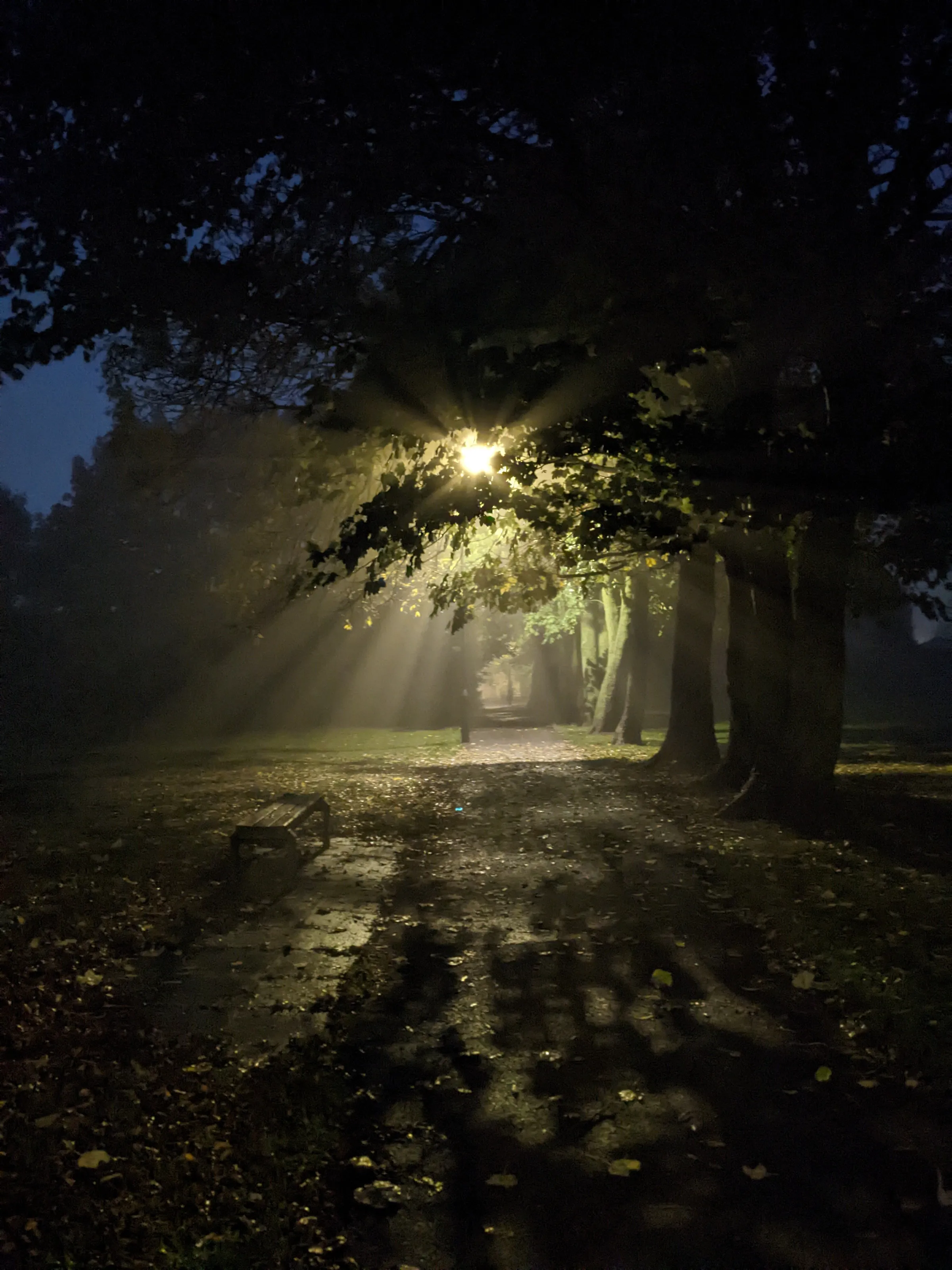 Street lamps don't get enough credit.
