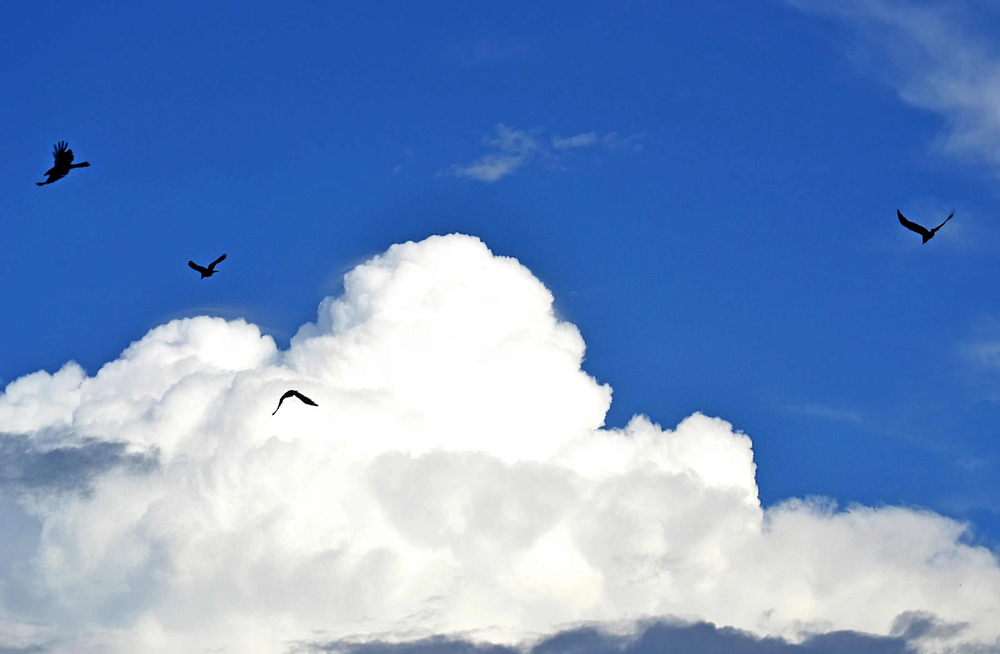CLOUD MOUNTAIN