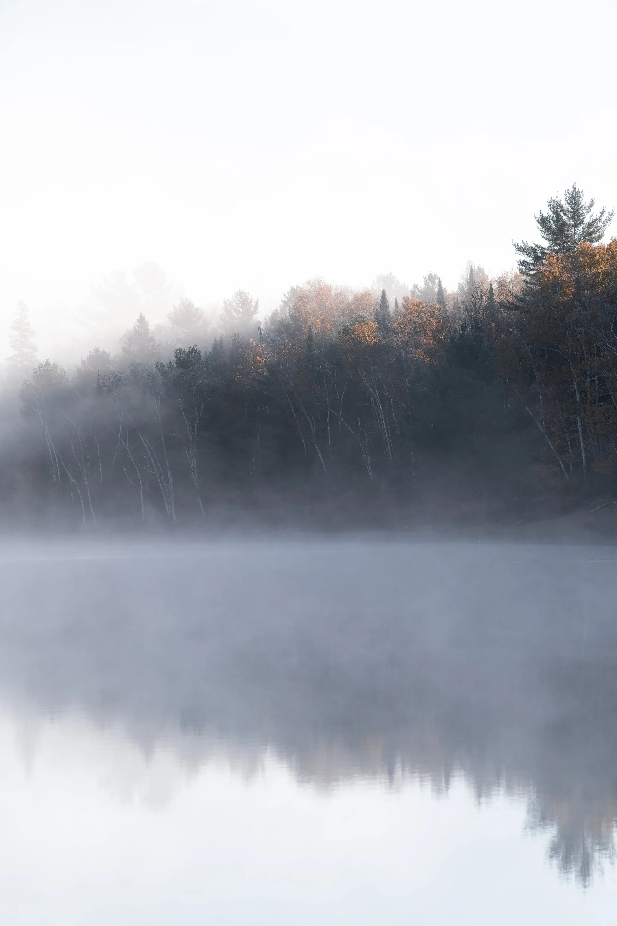 Misty lake