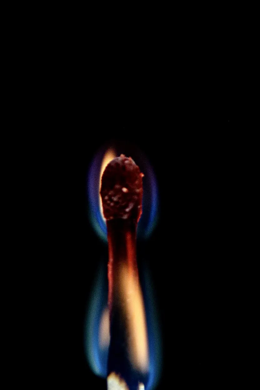 Entry 15160026
