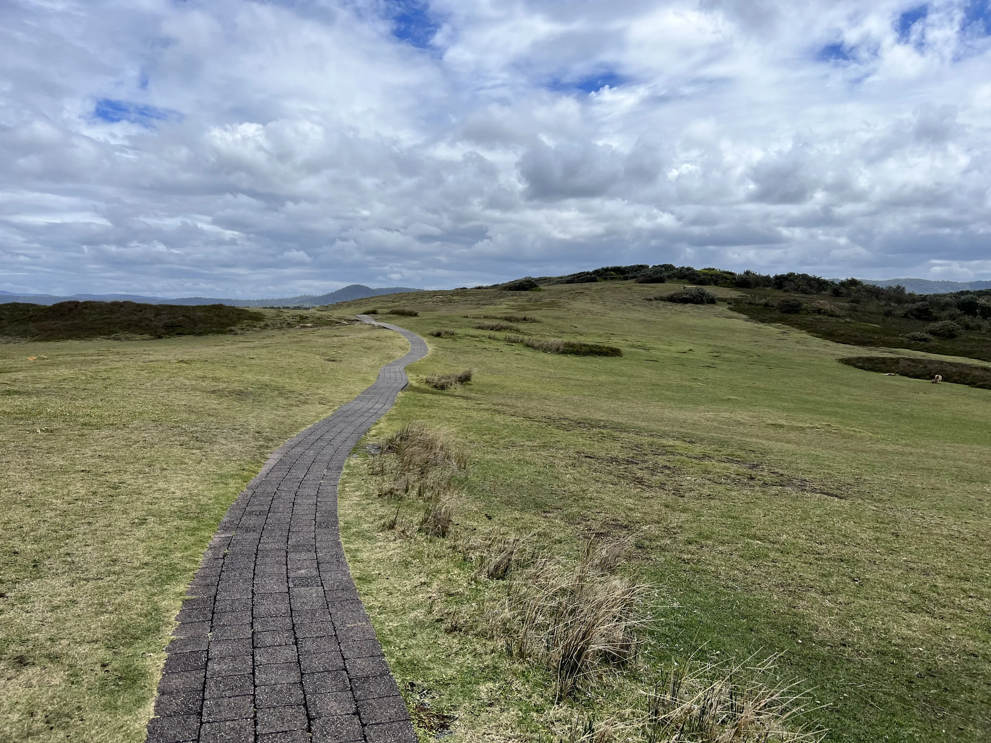 Discovery pathway