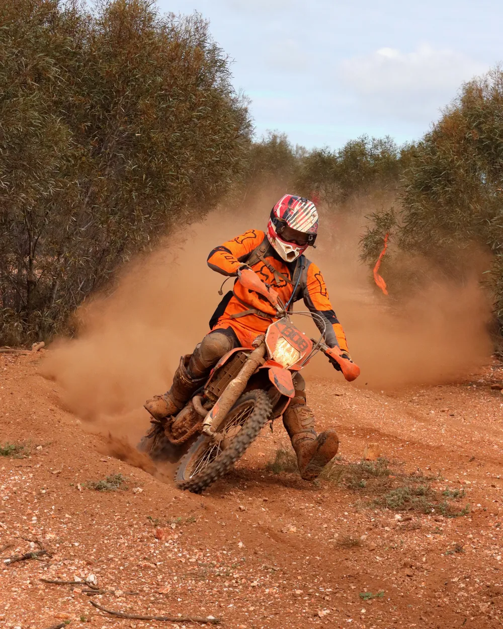 Entry 14465253