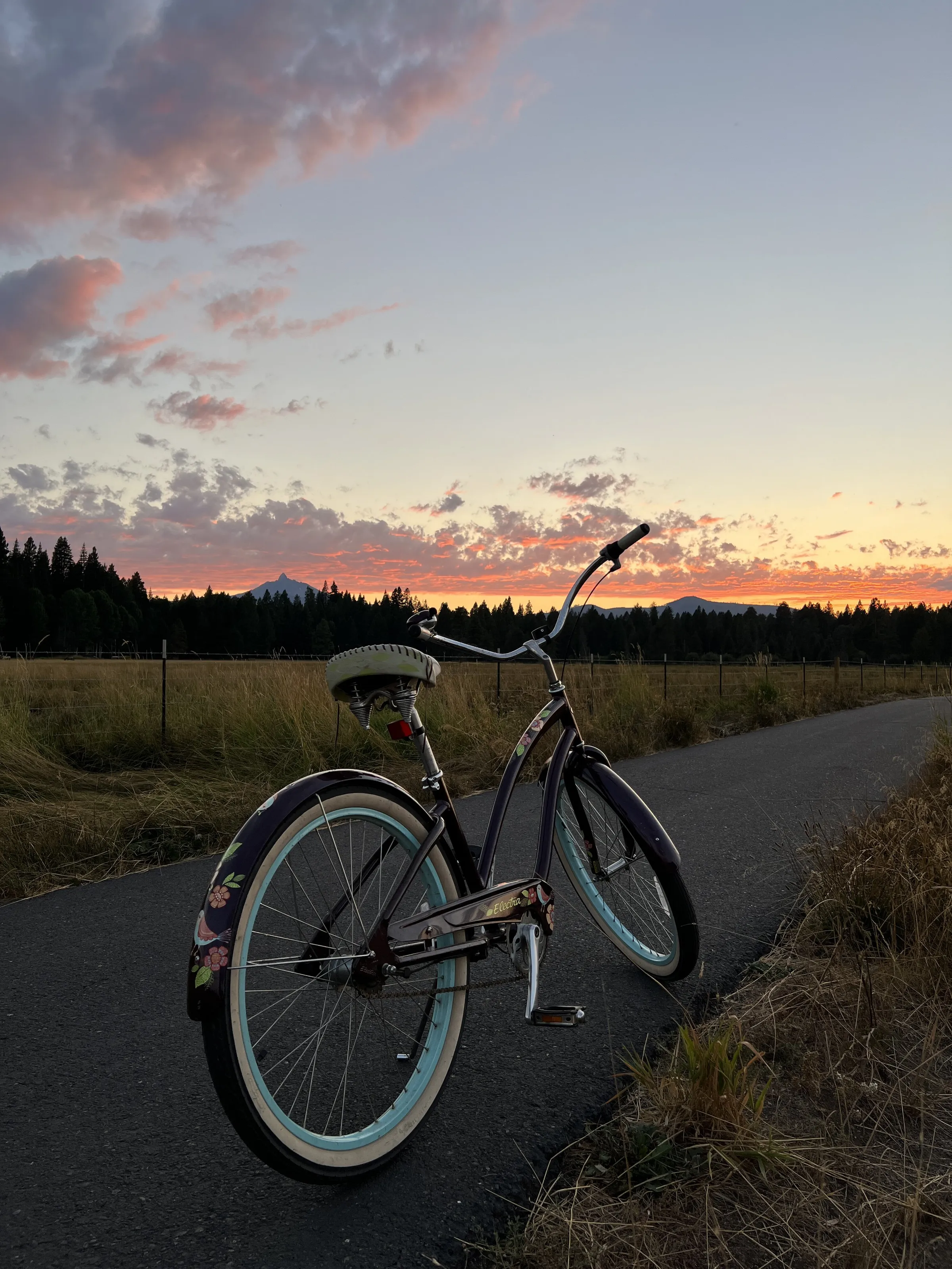 Meadow Sunset