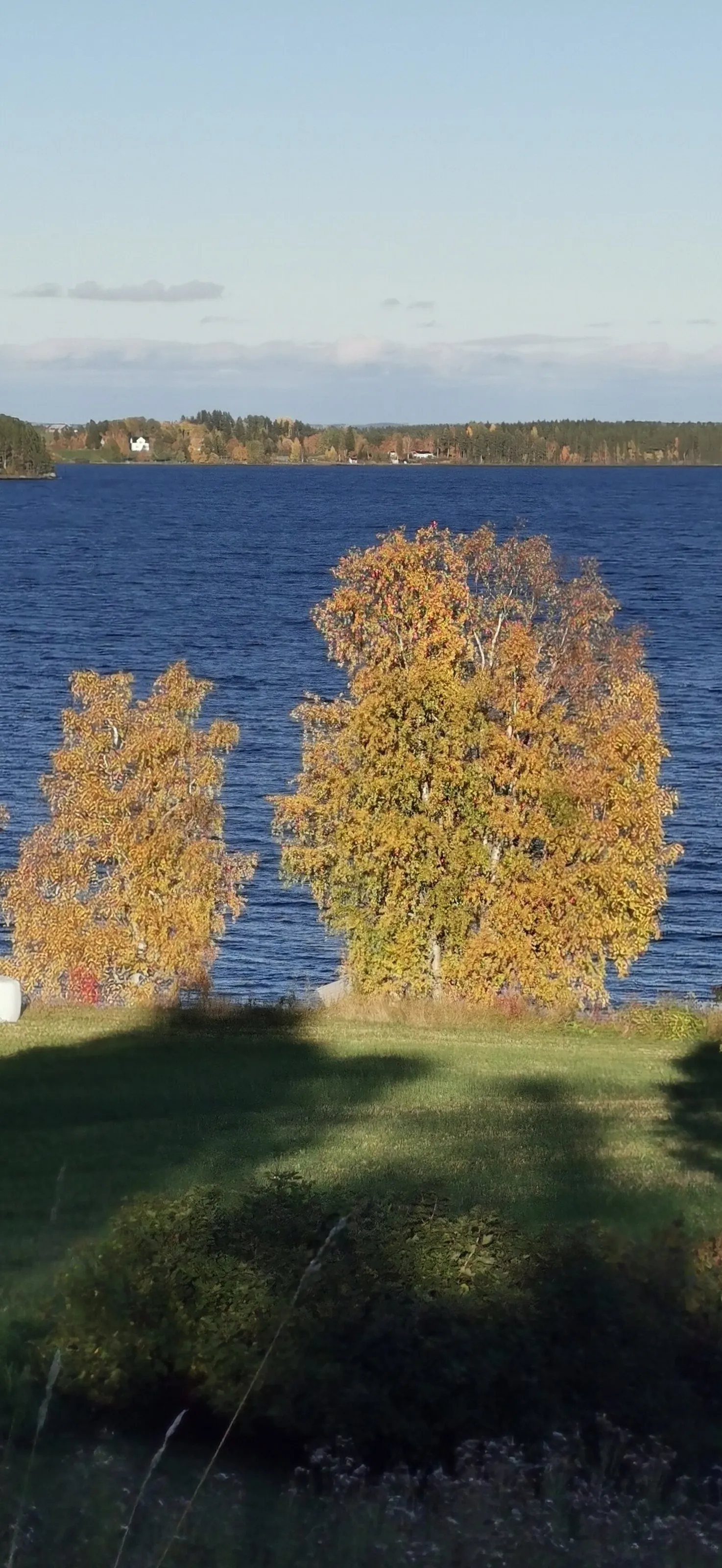 Shadows draw closer as autumn blooms